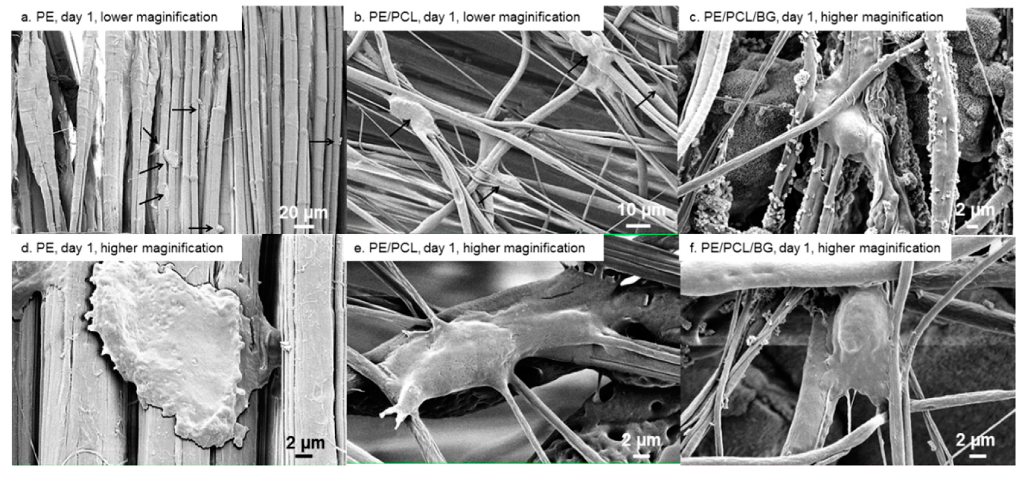 Materials 12 00916 g004