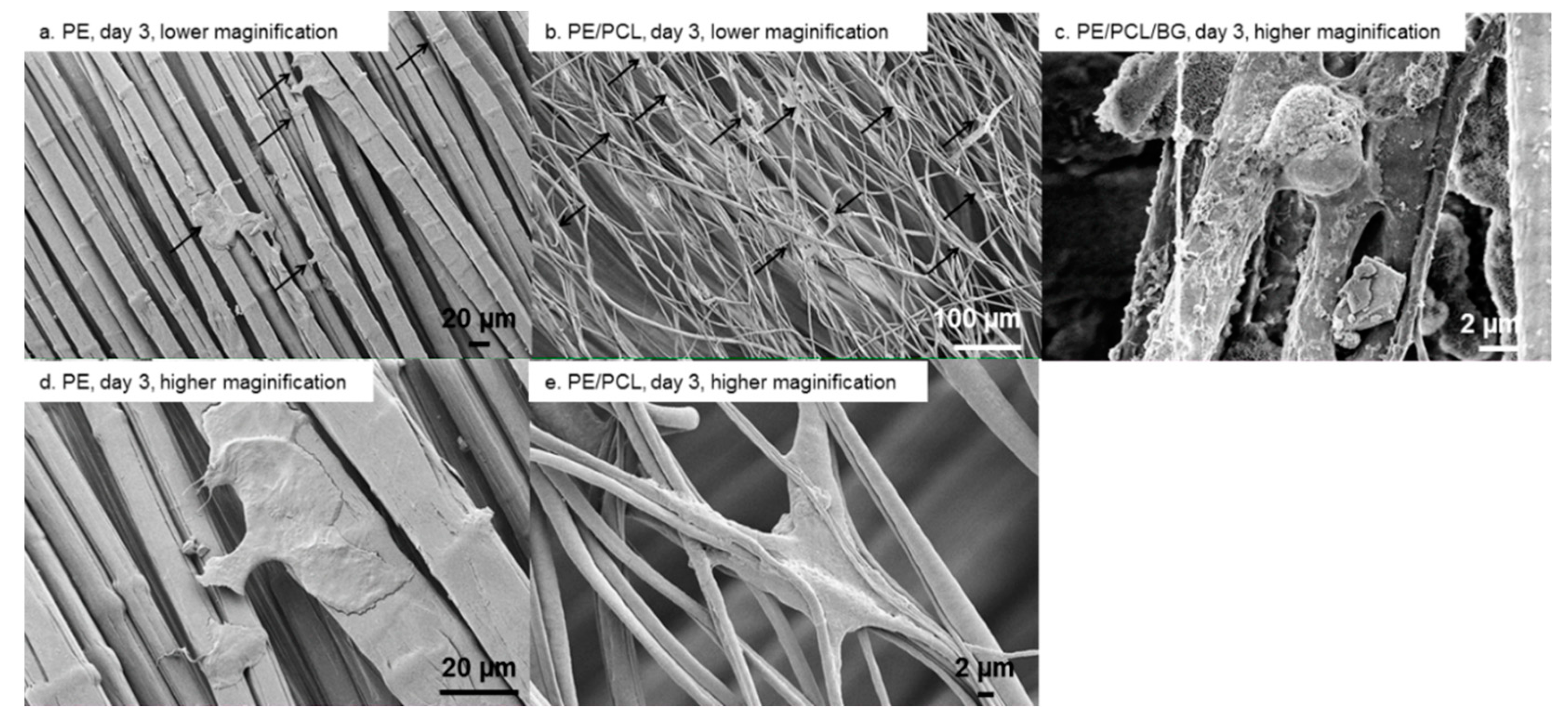 Materials 12 00916 g005