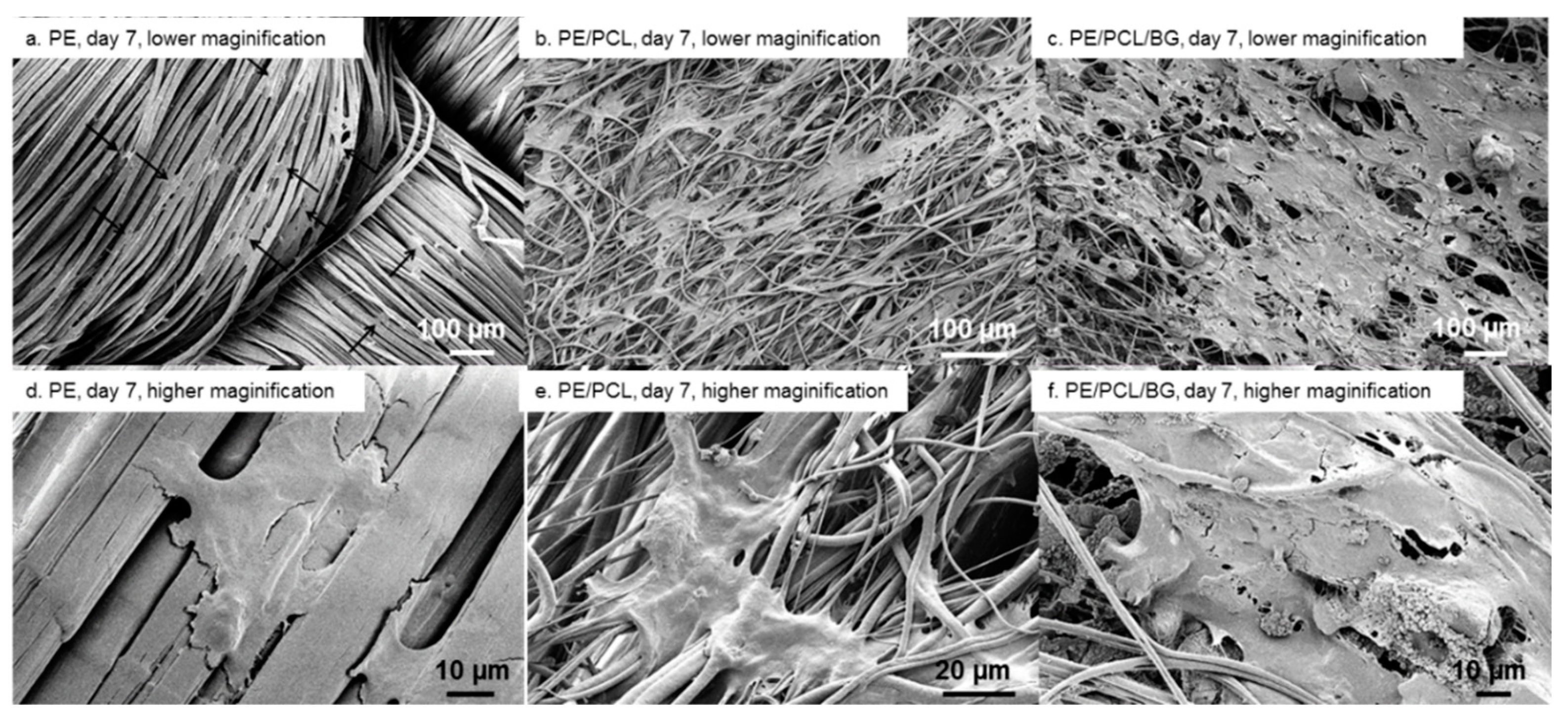 Materials 12 00916 g006