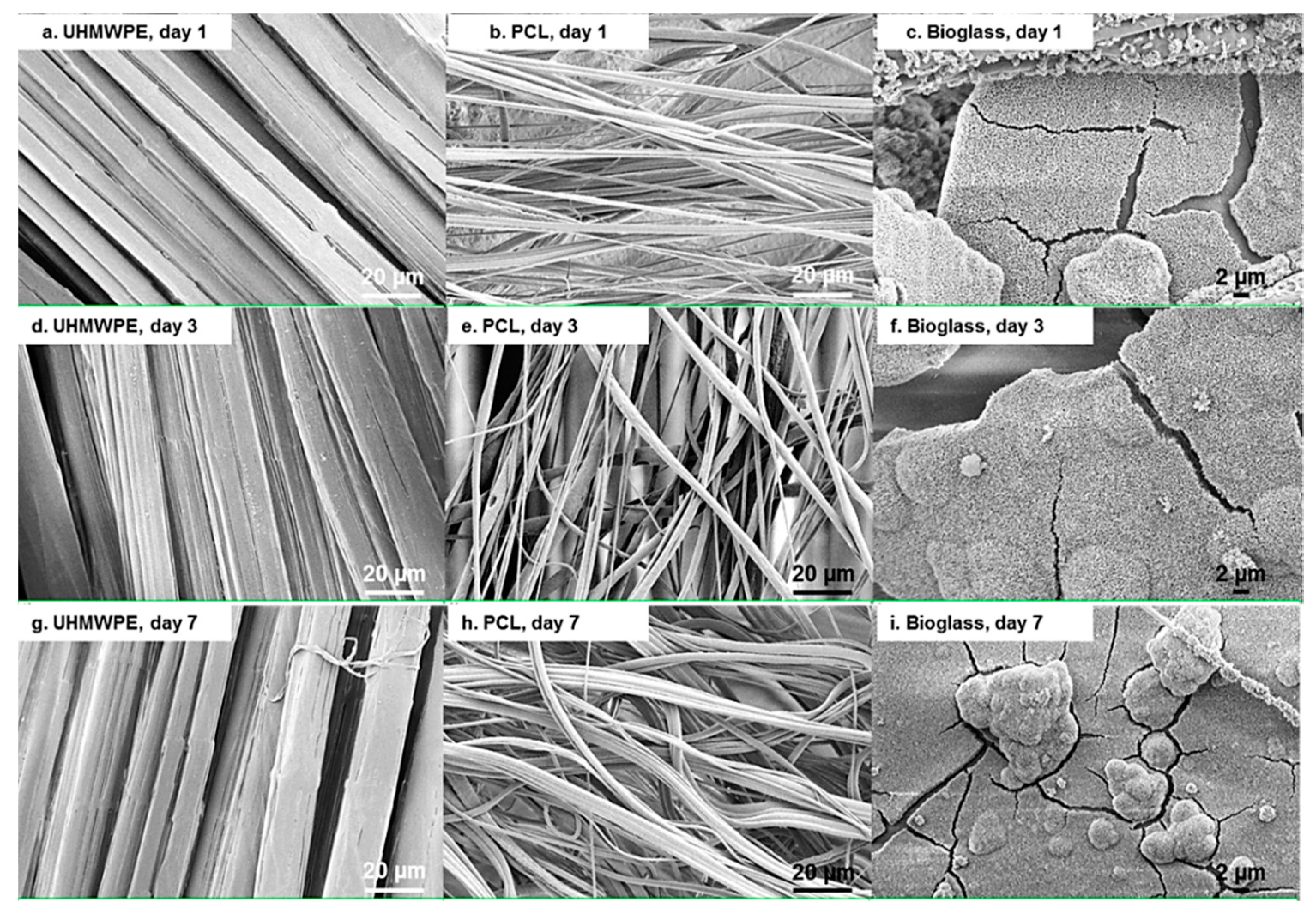 Materials 12 00916 g007