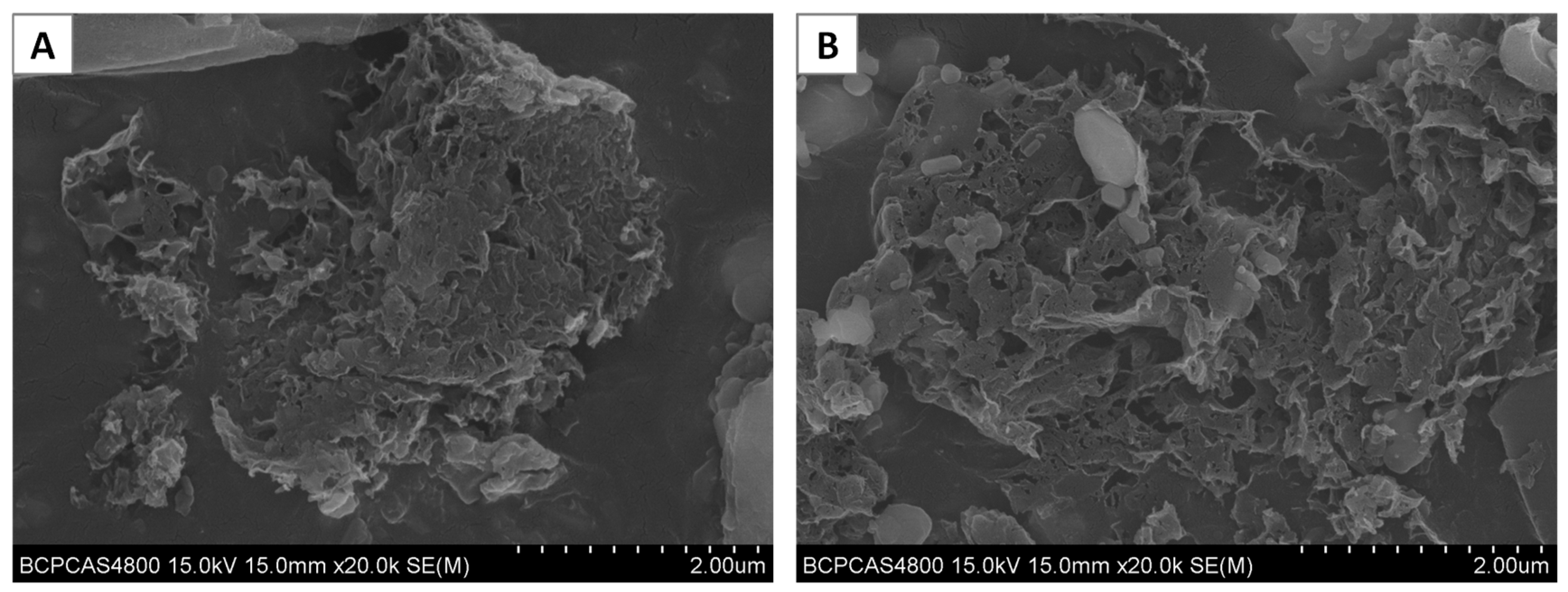 Materials 12 01079 g001