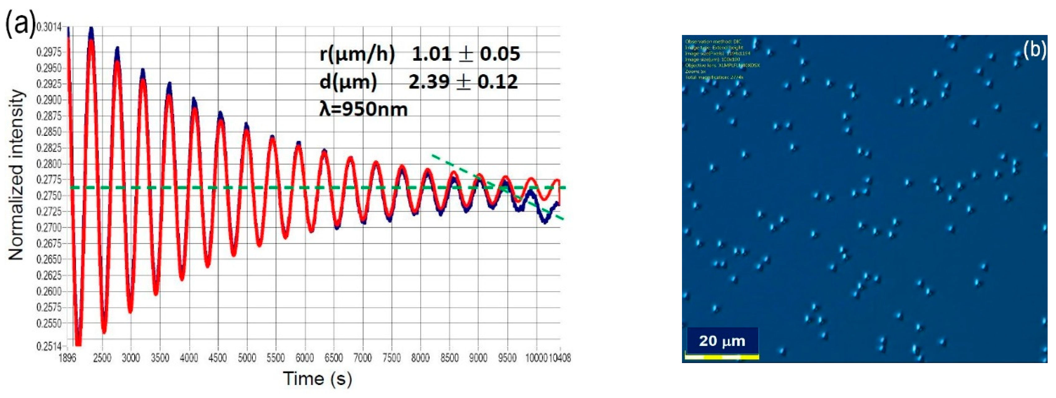 Materials 12 01621 g001 Materials 12 01621 g001