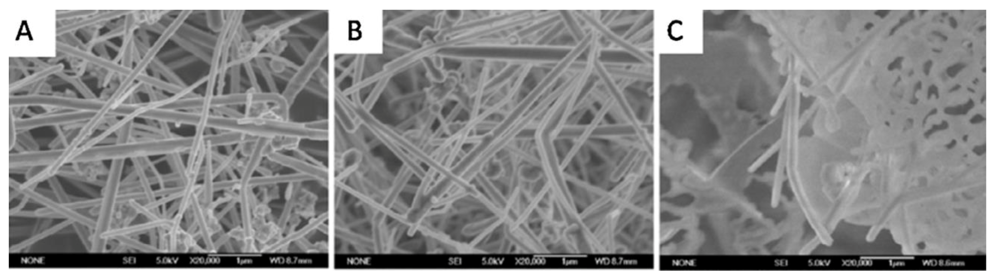 Materials 12 01731 g010