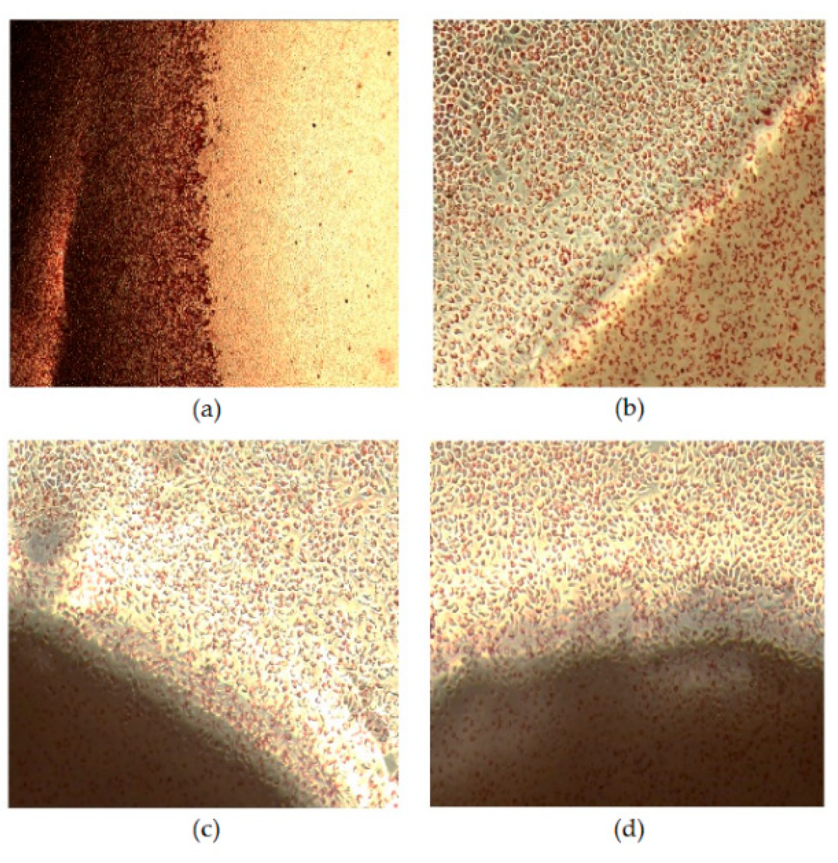 Materials 12 01807 g008