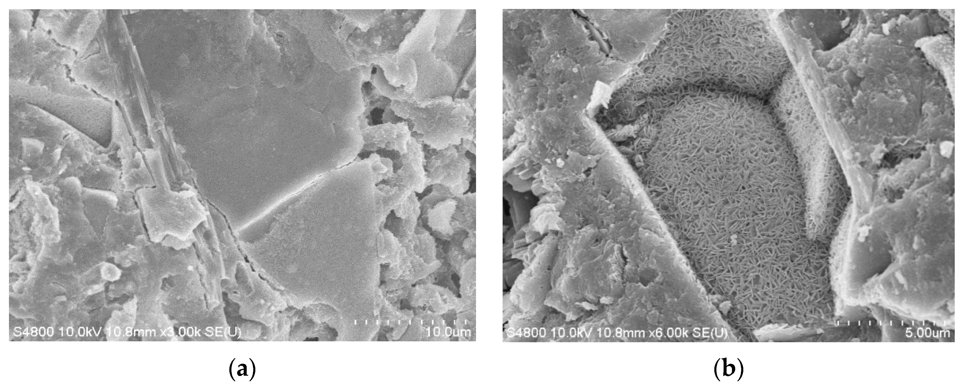 Materials 12 01855 g010