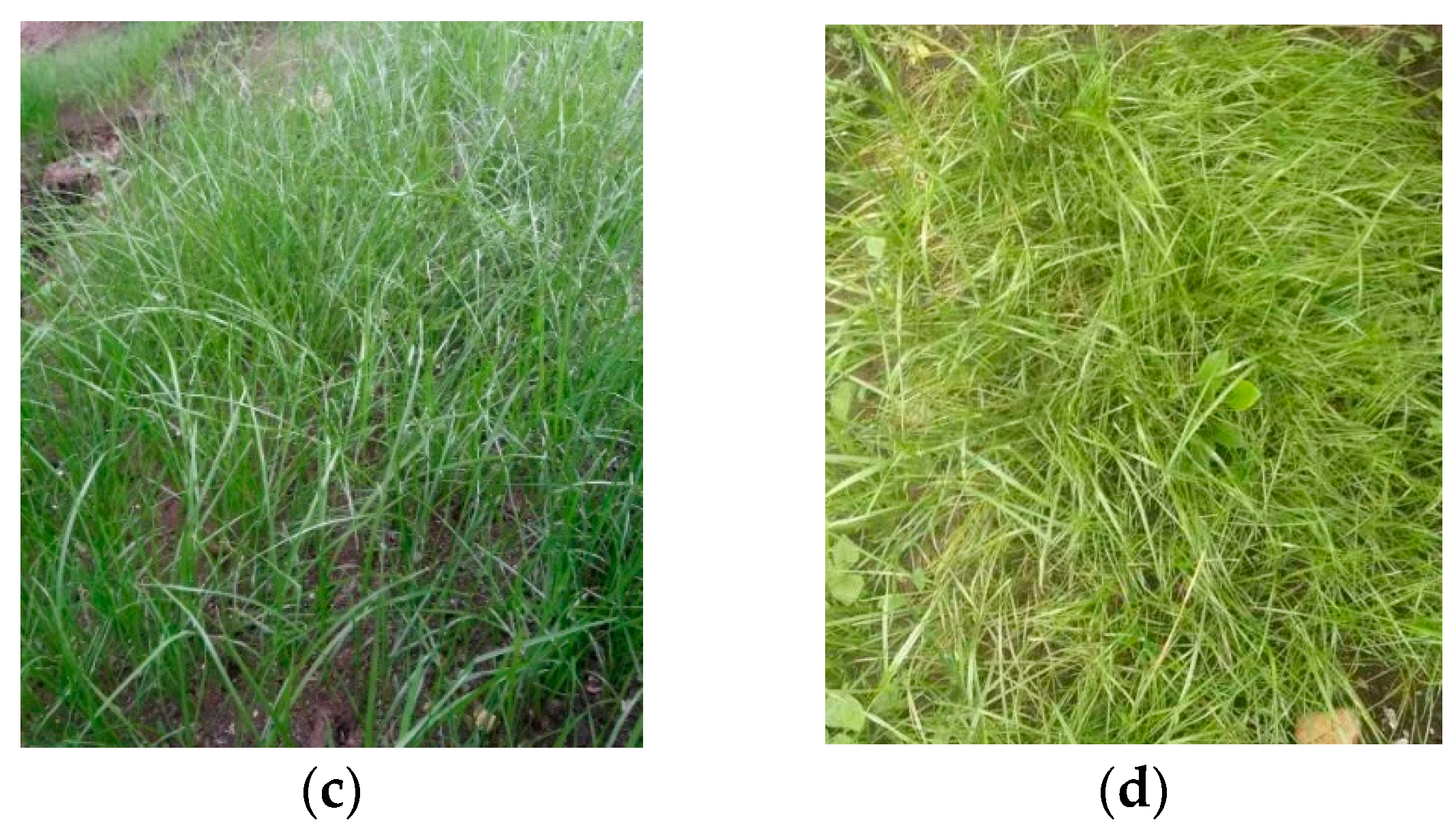 Materials 12 01855 g032b