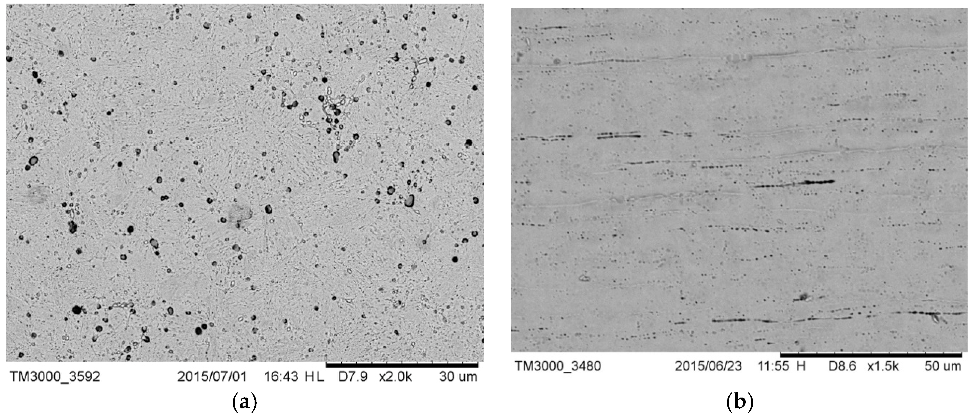 Materials 12 01866 g001
