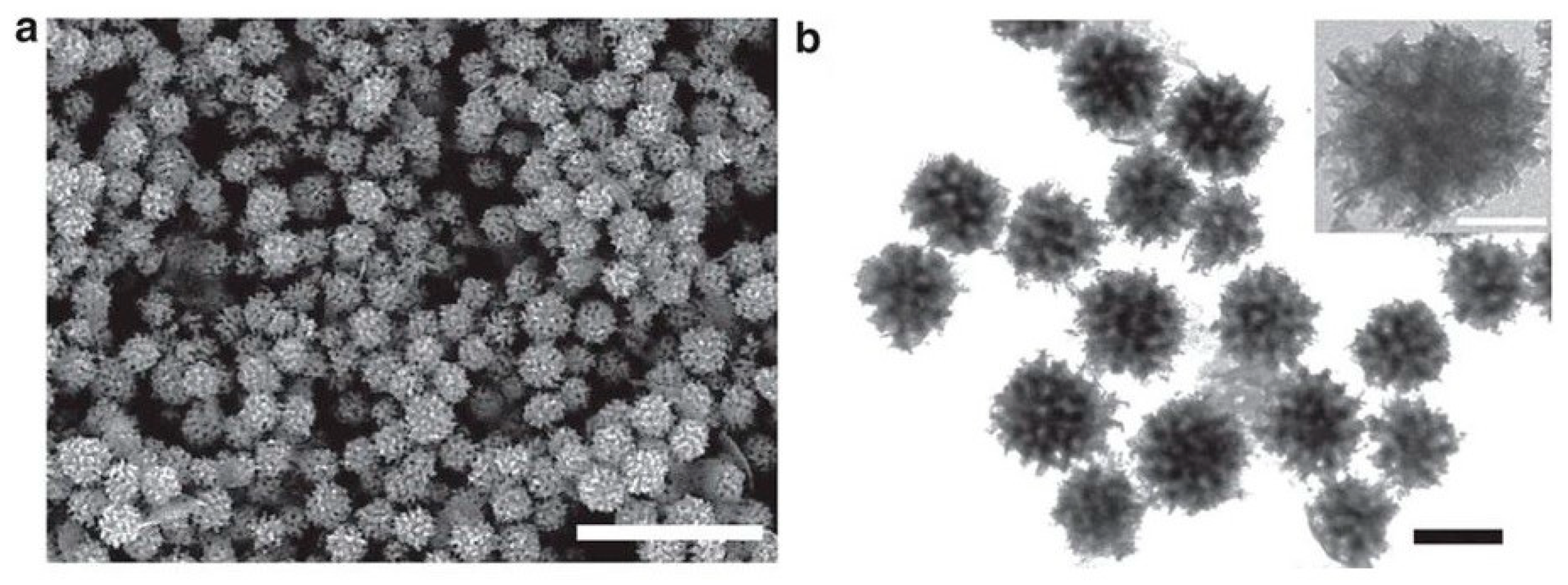 Materials 12 01896 g011