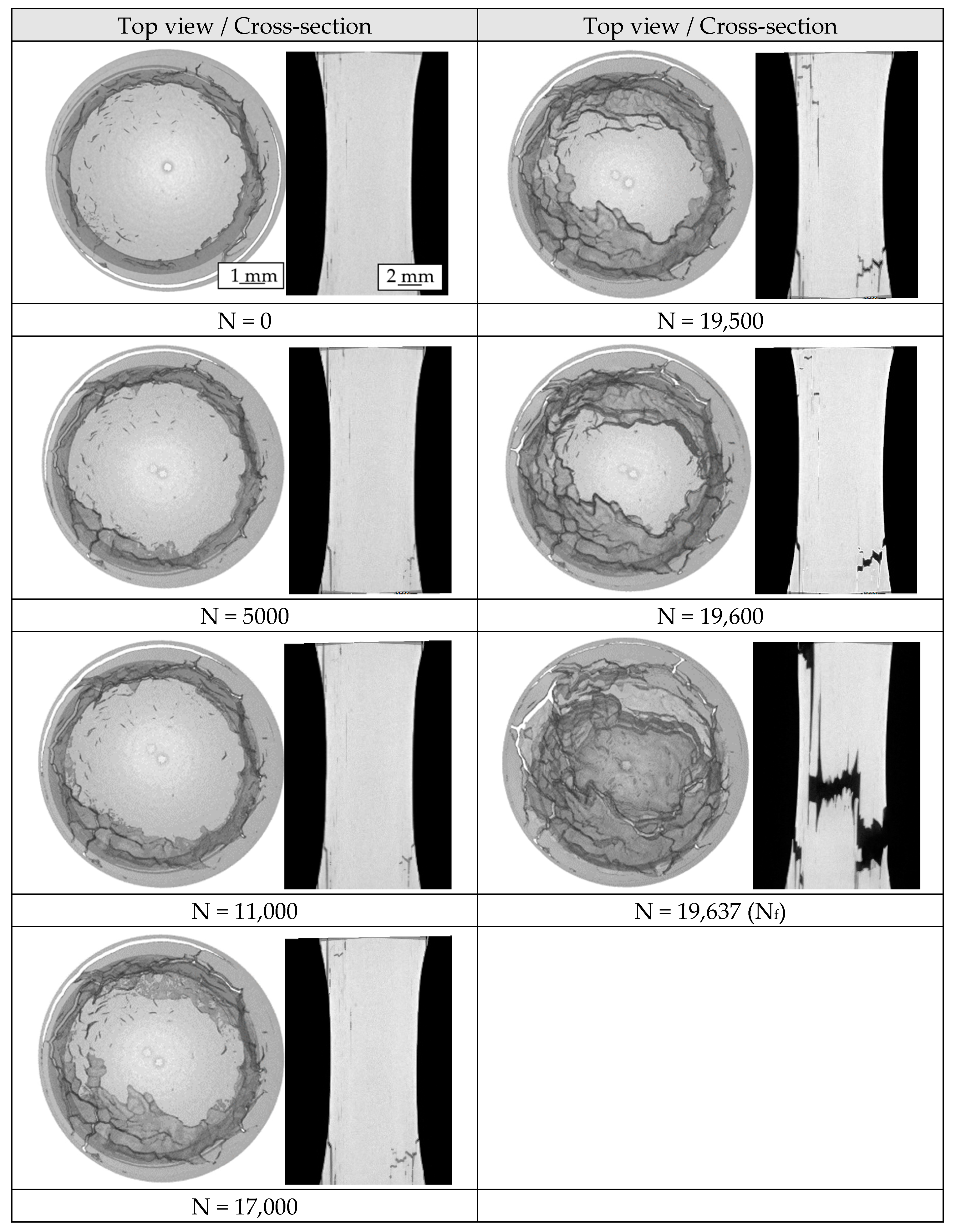 Materials 12 02372 g009