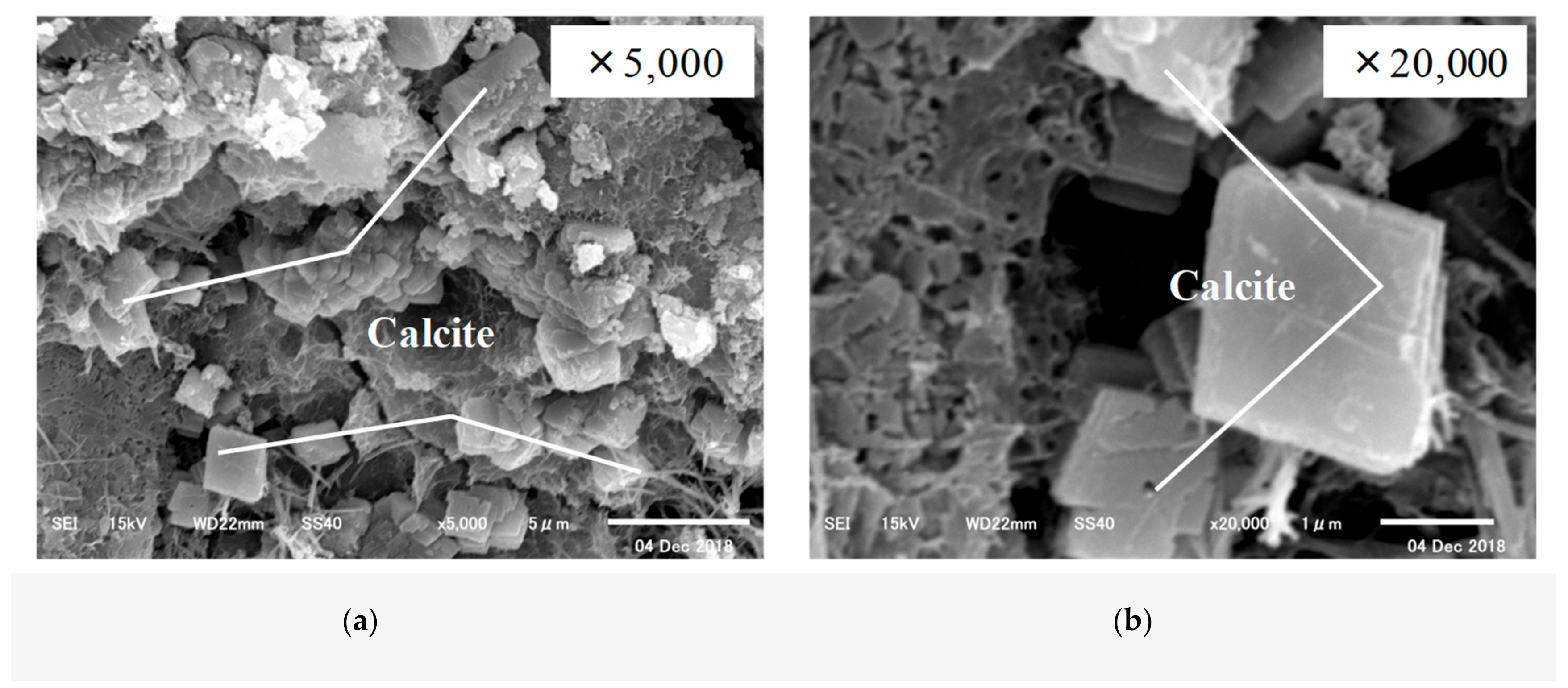 Materials 12 02456 g011