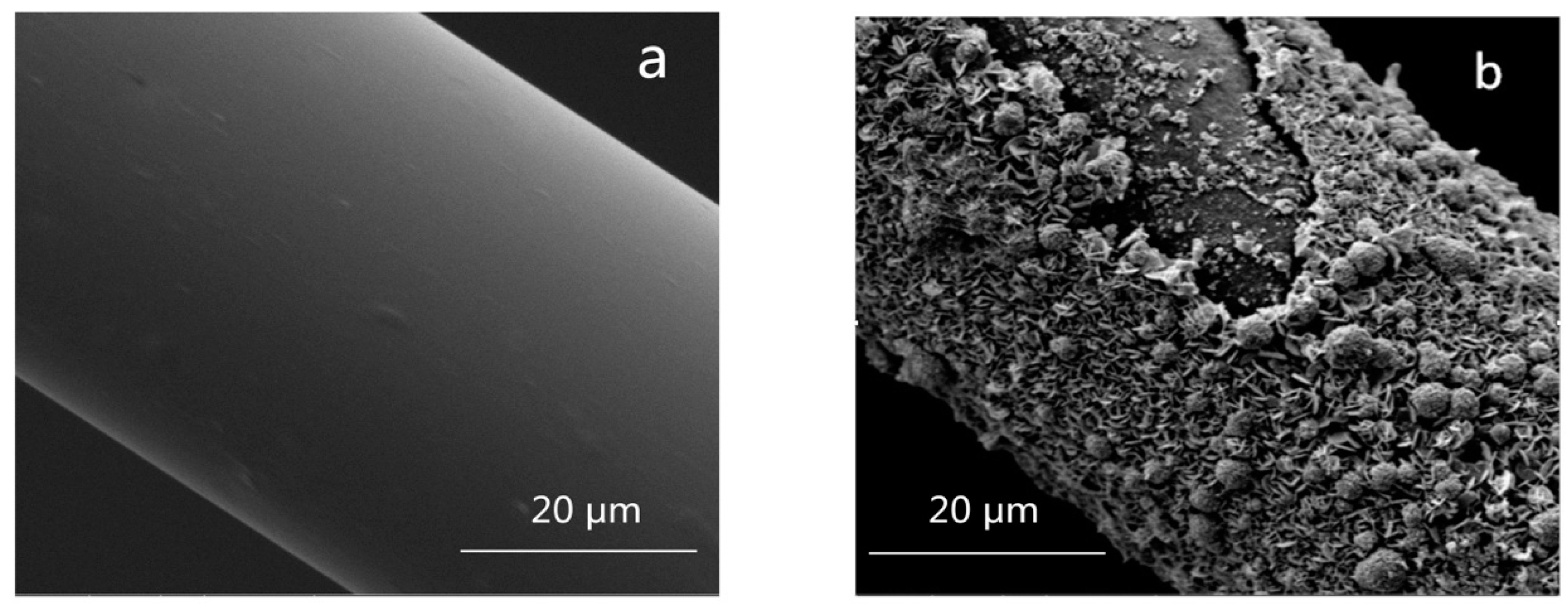 Materials 12 02472 g005