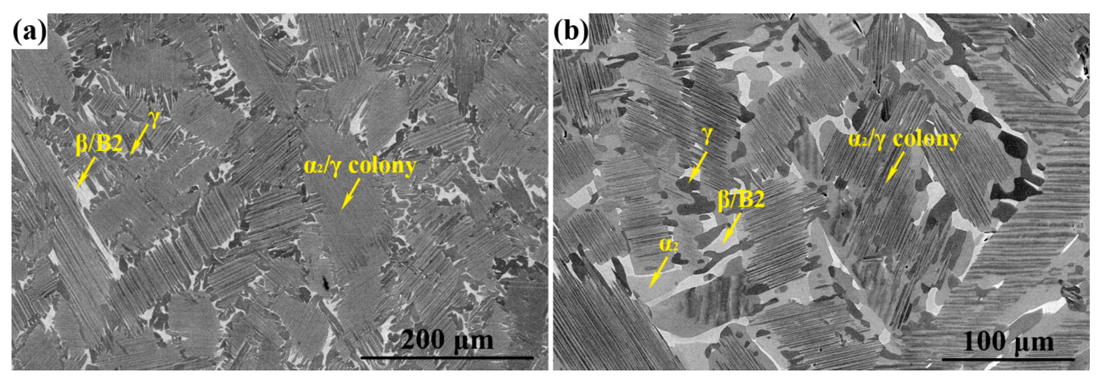 Materials 12 02496 g002
