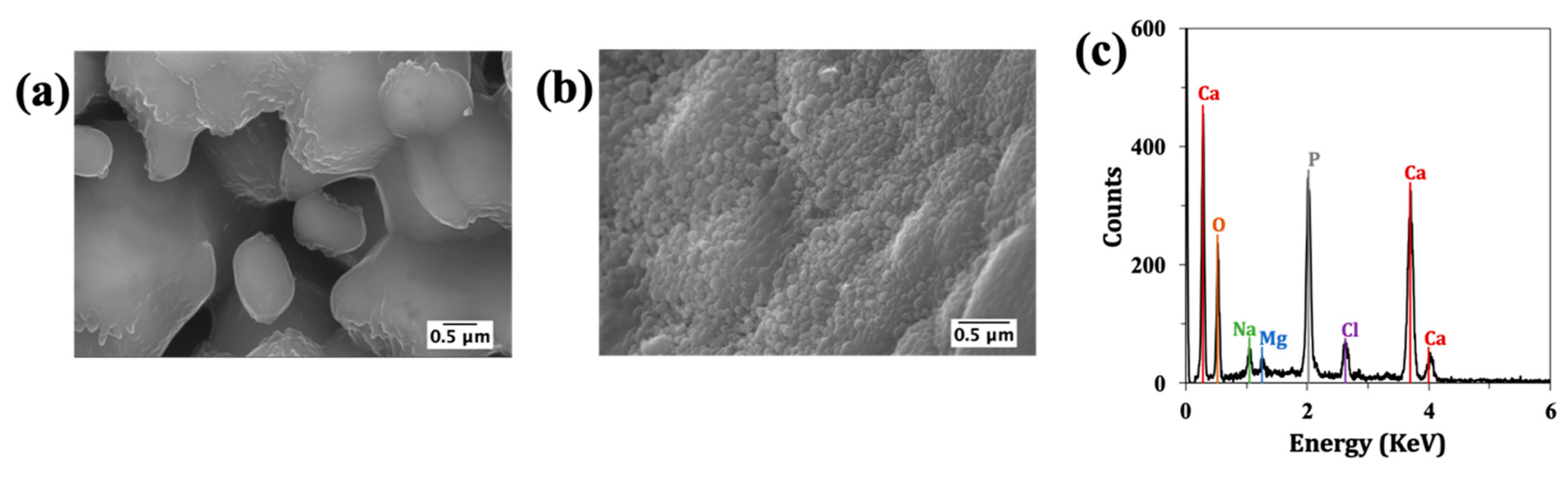 Materials 12 02711 g005