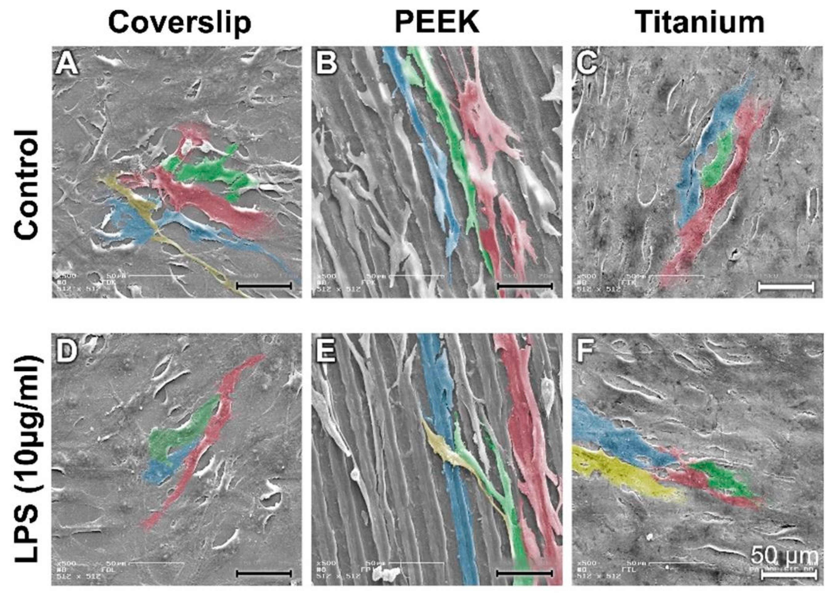 Materials 12 02739 g003