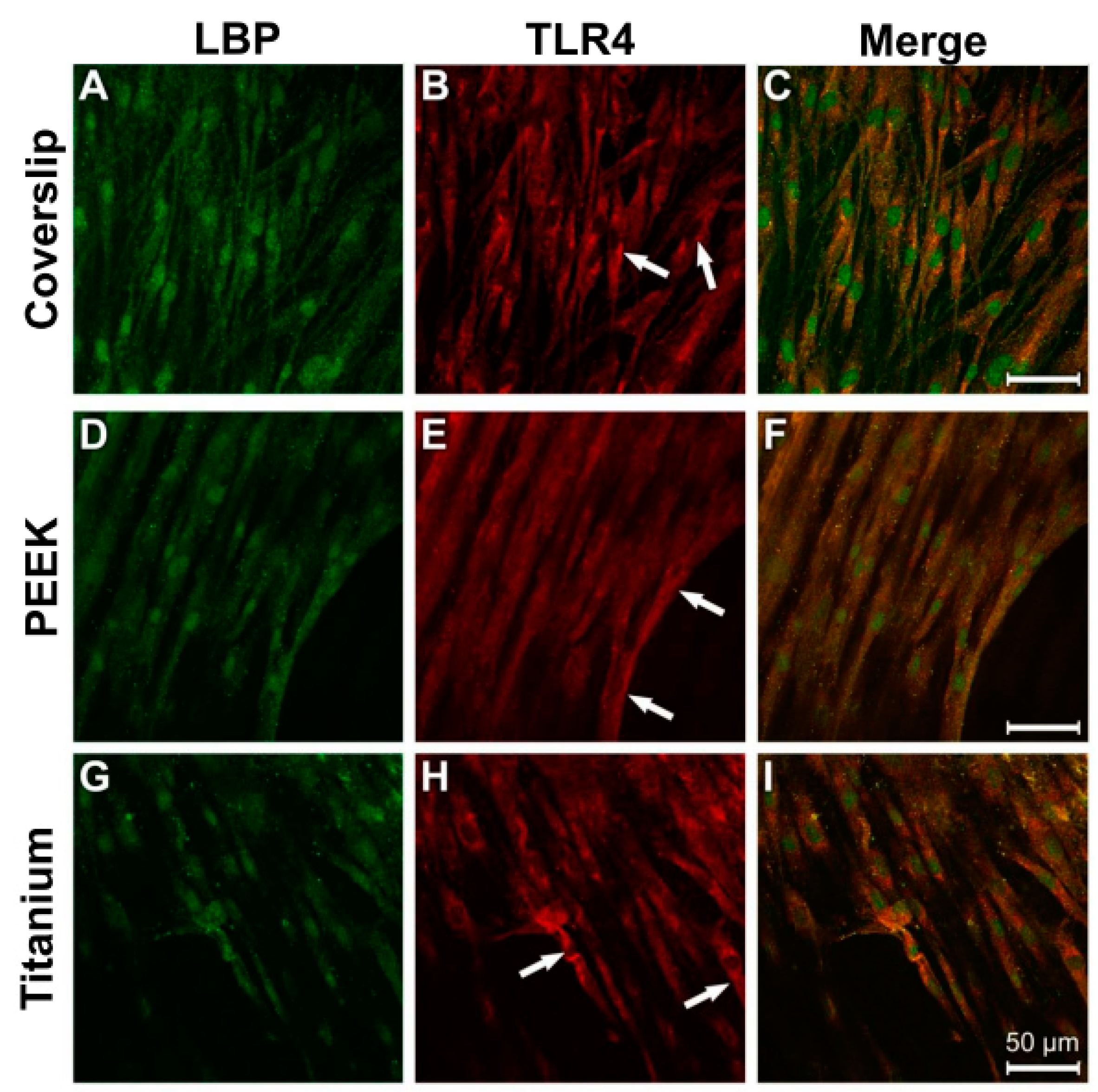 Materials 12 02739 g008