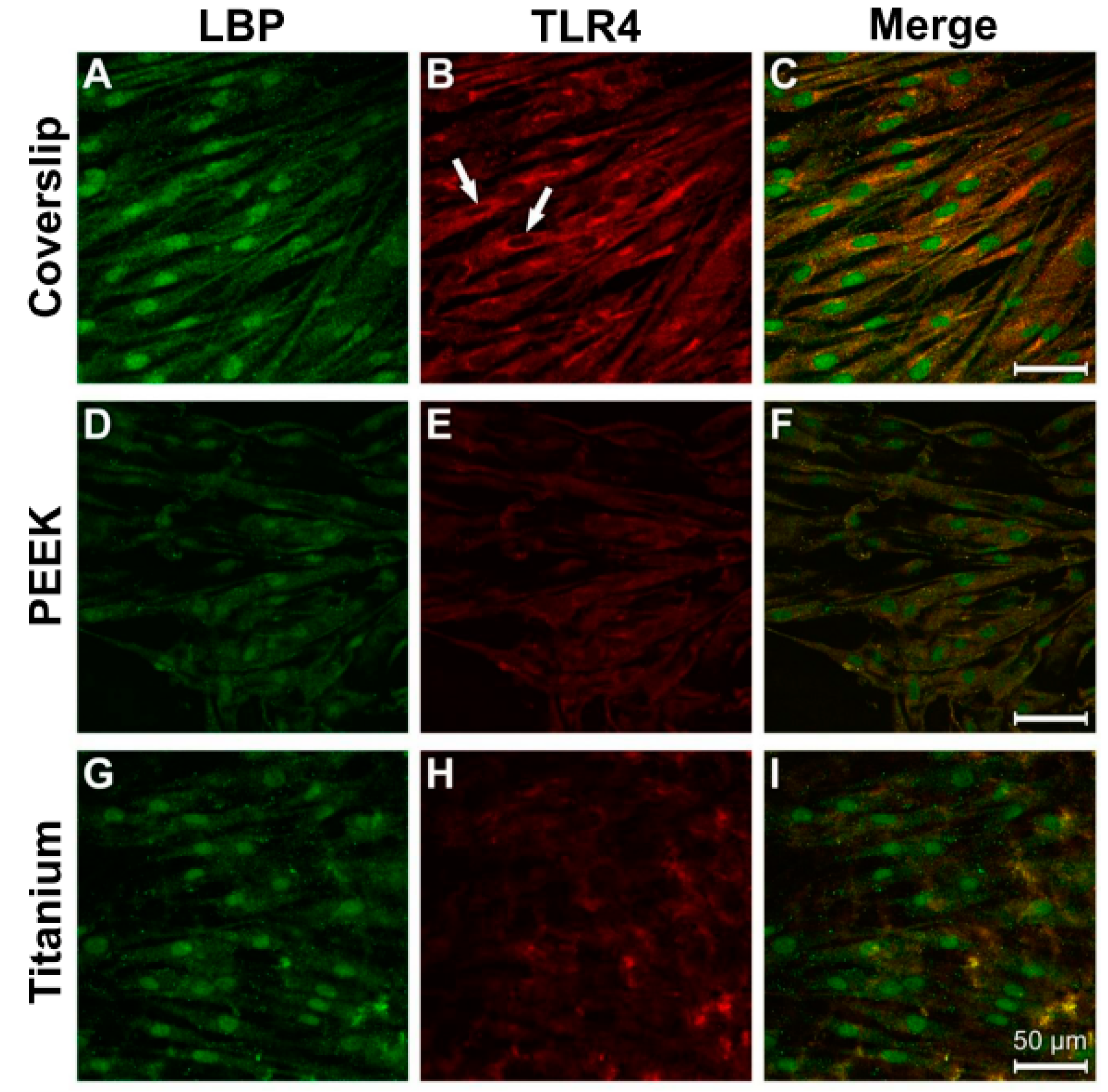 Materials 12 02739 g009