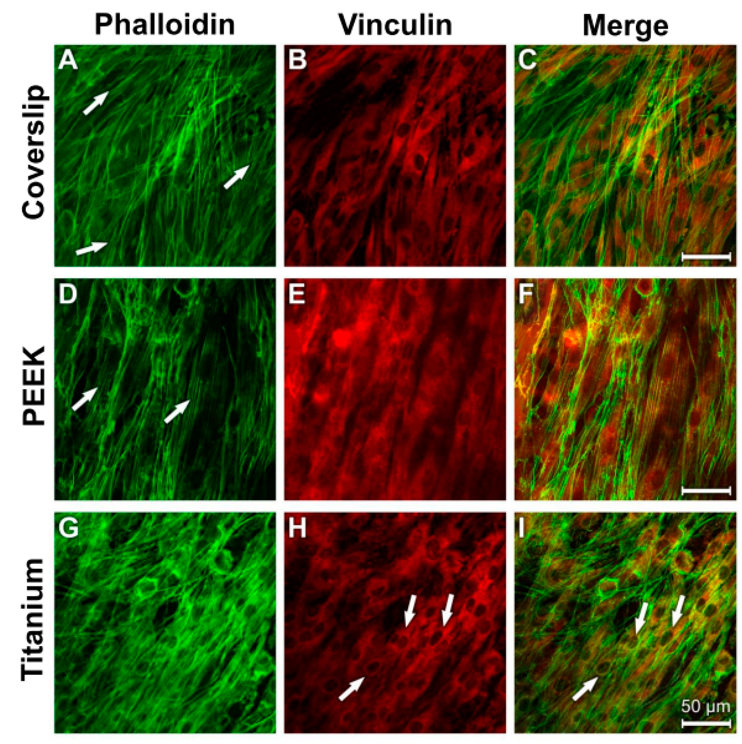 Materials 12 02739 g012