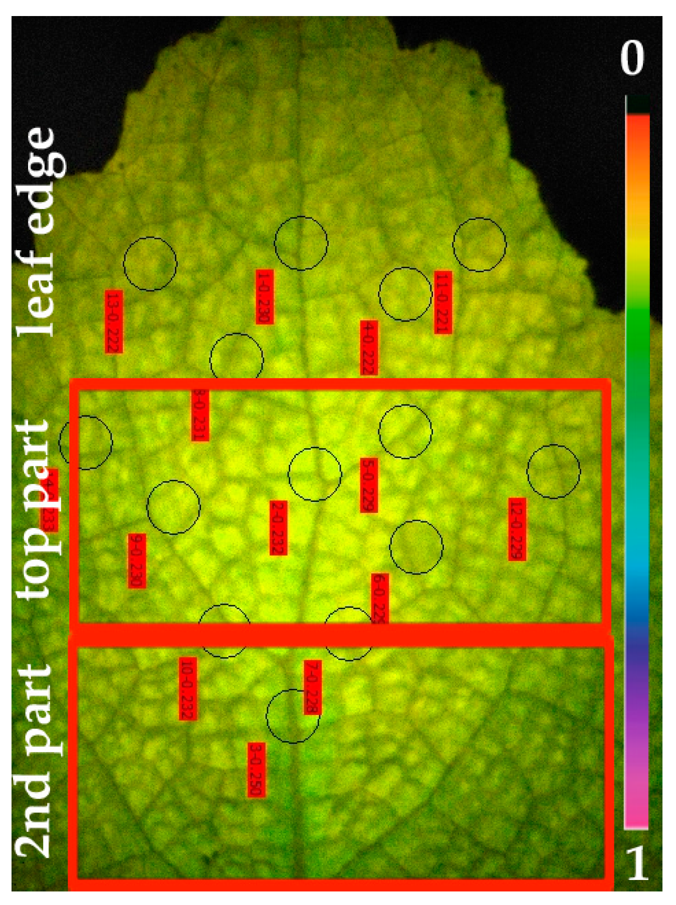 Materials 12 02953 g002