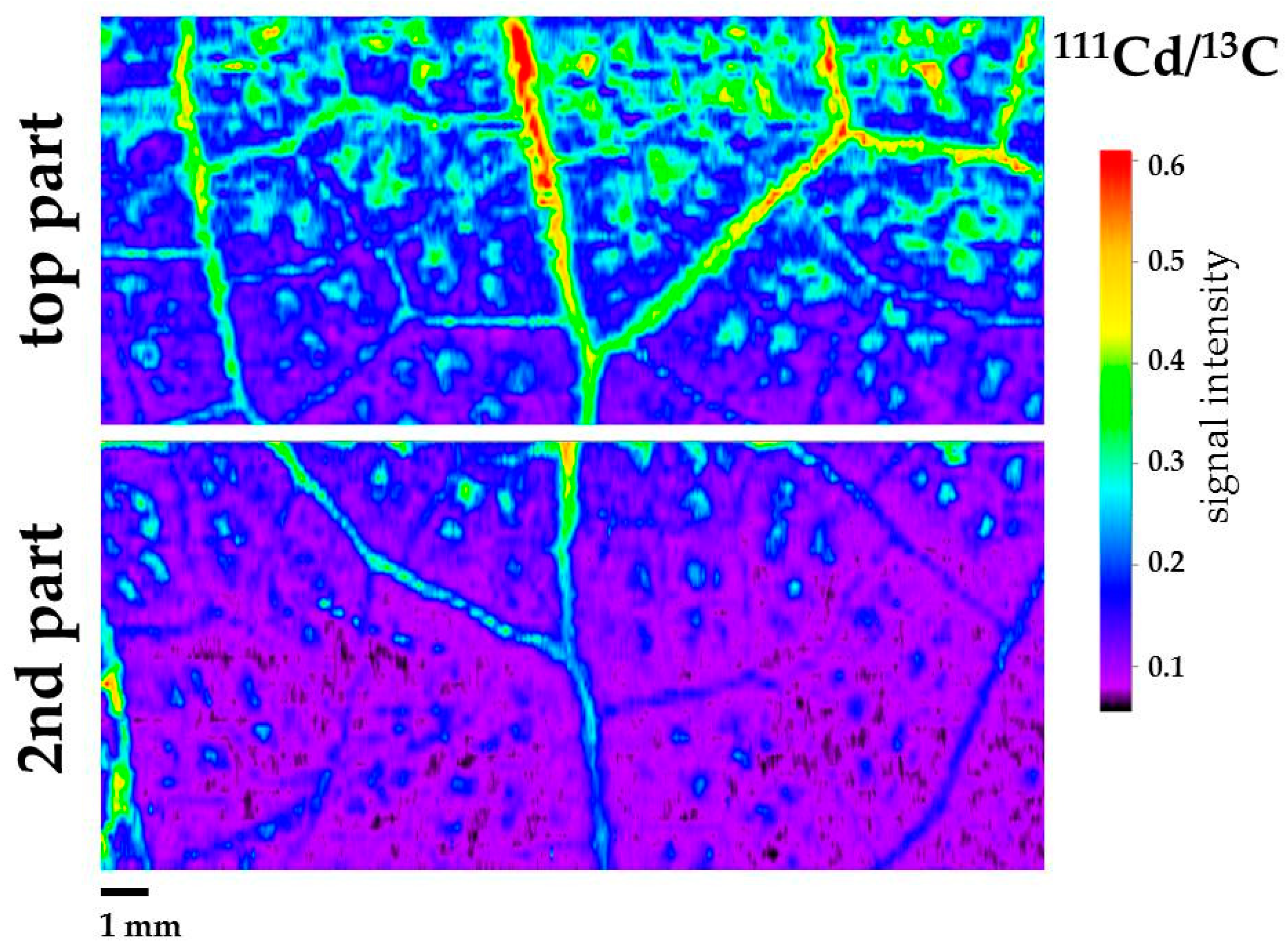 Materials 12 02953 g003