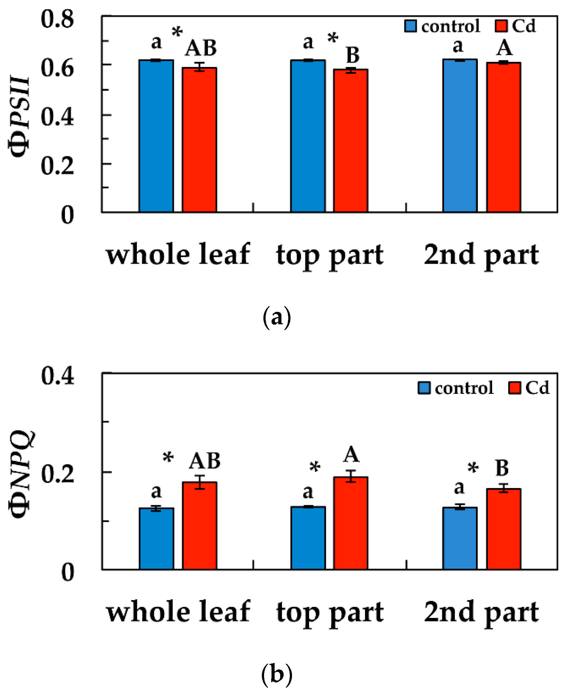 Materials 12 02953 g004