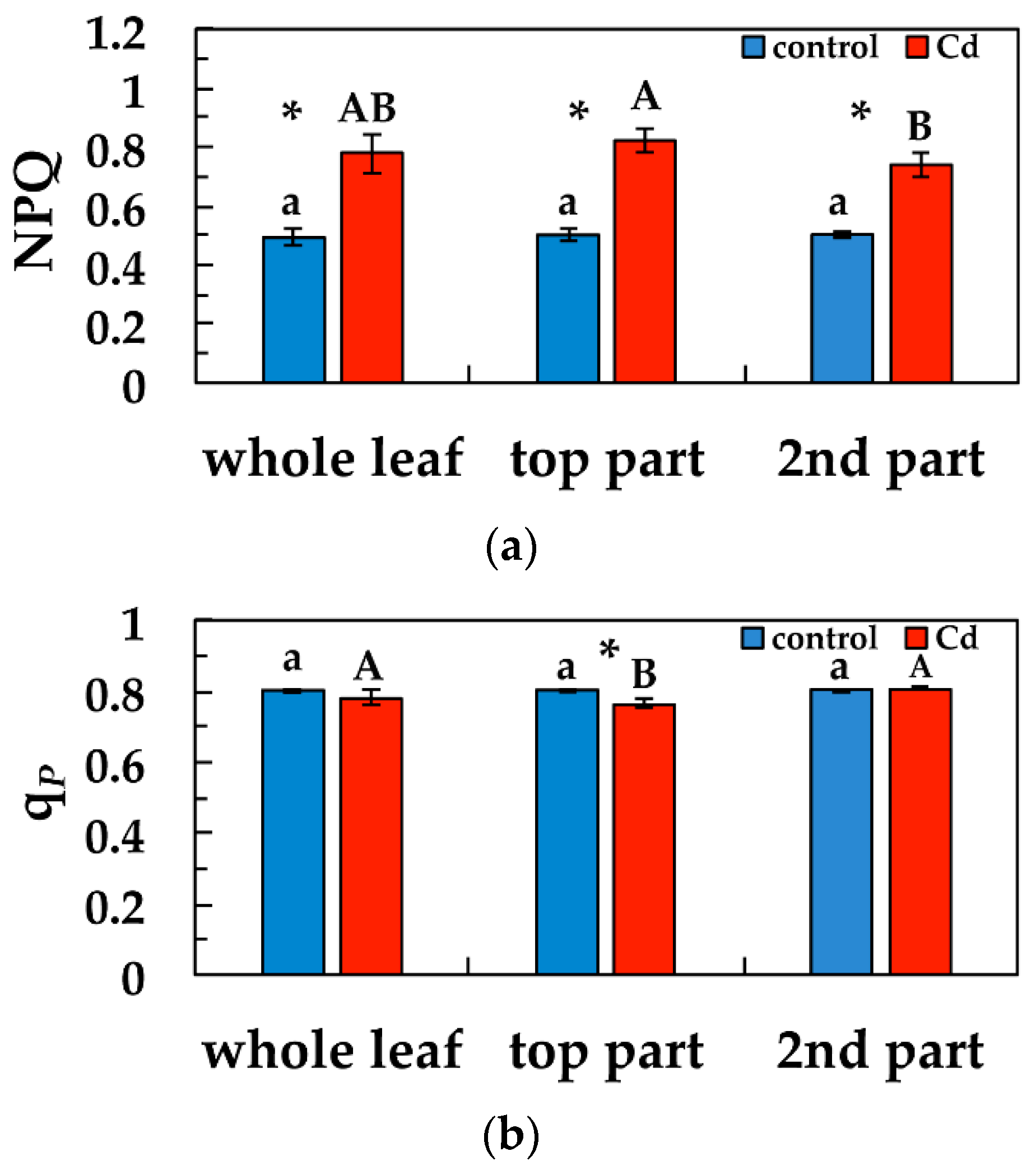 Materials 12 02953 g006