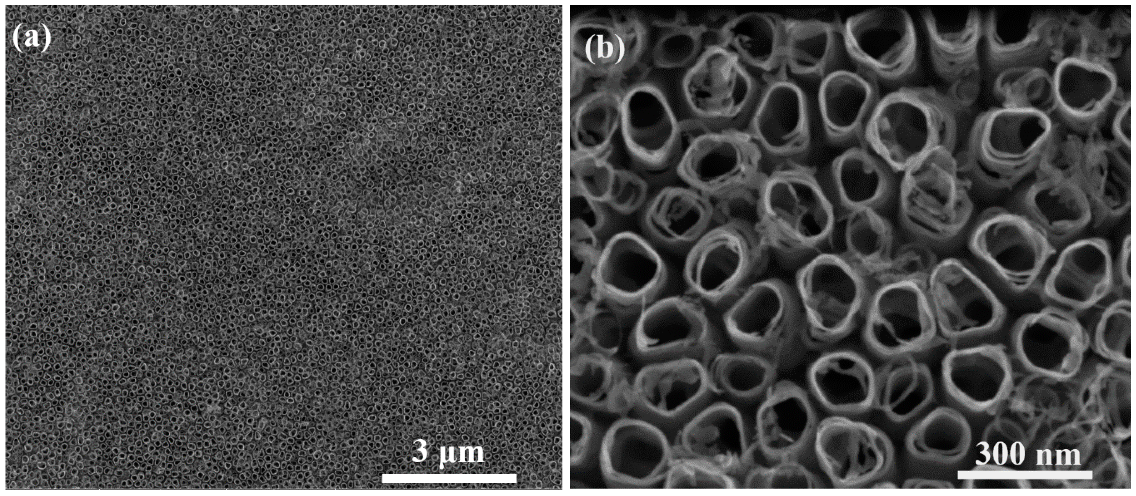 Materials 12 03373 g006