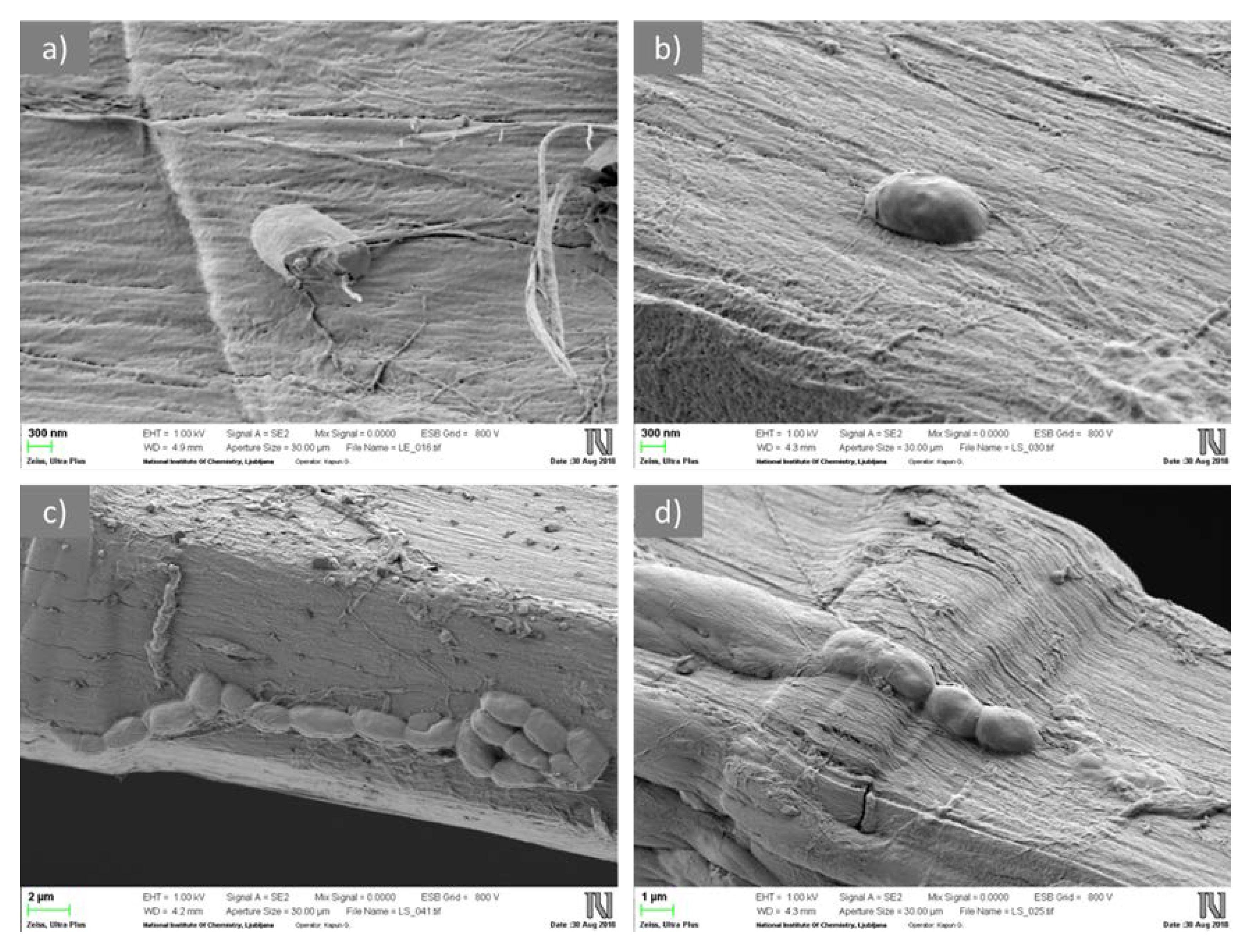 Materials 12 03399 g005