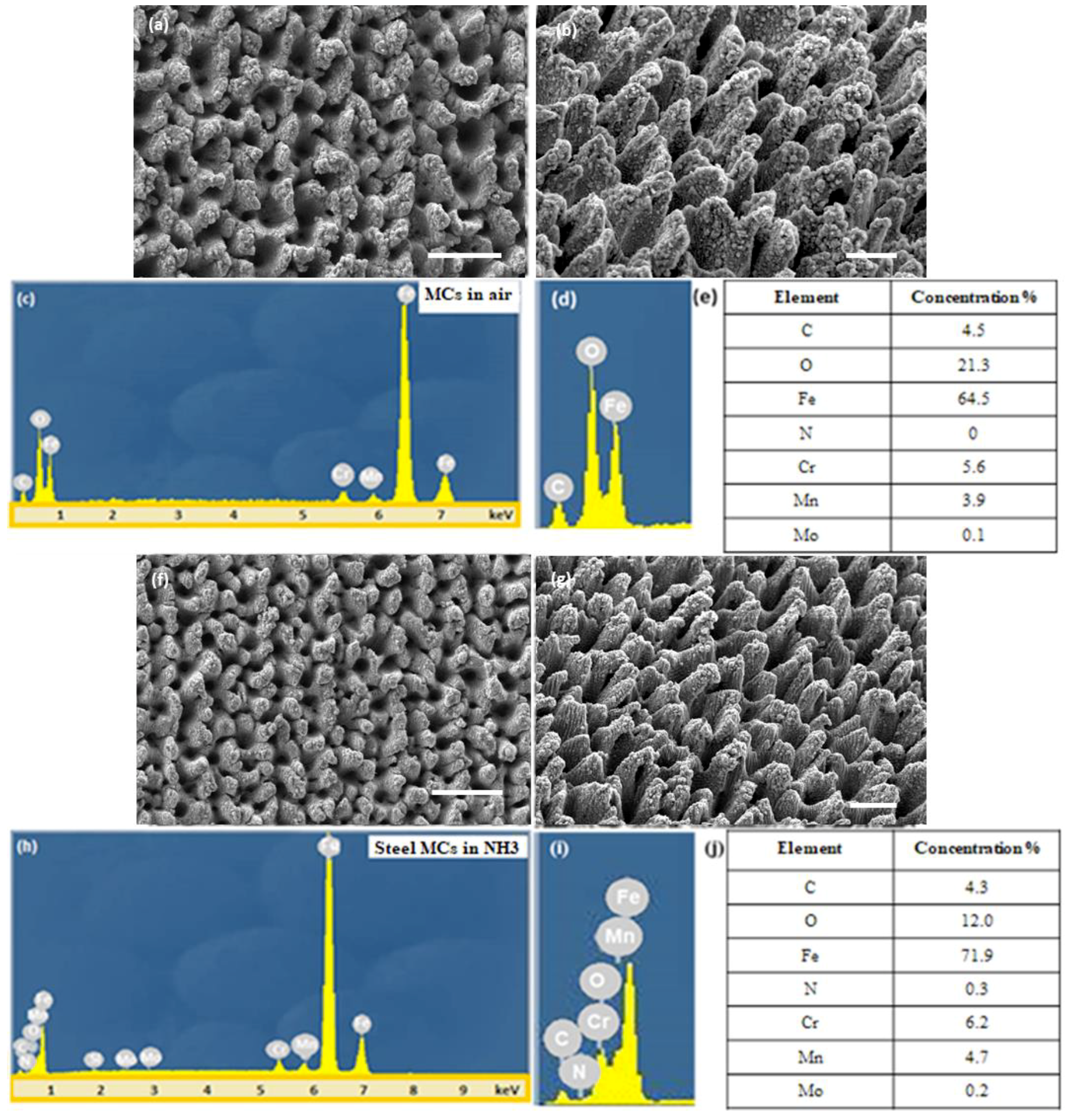 Materials 12 03428 g002