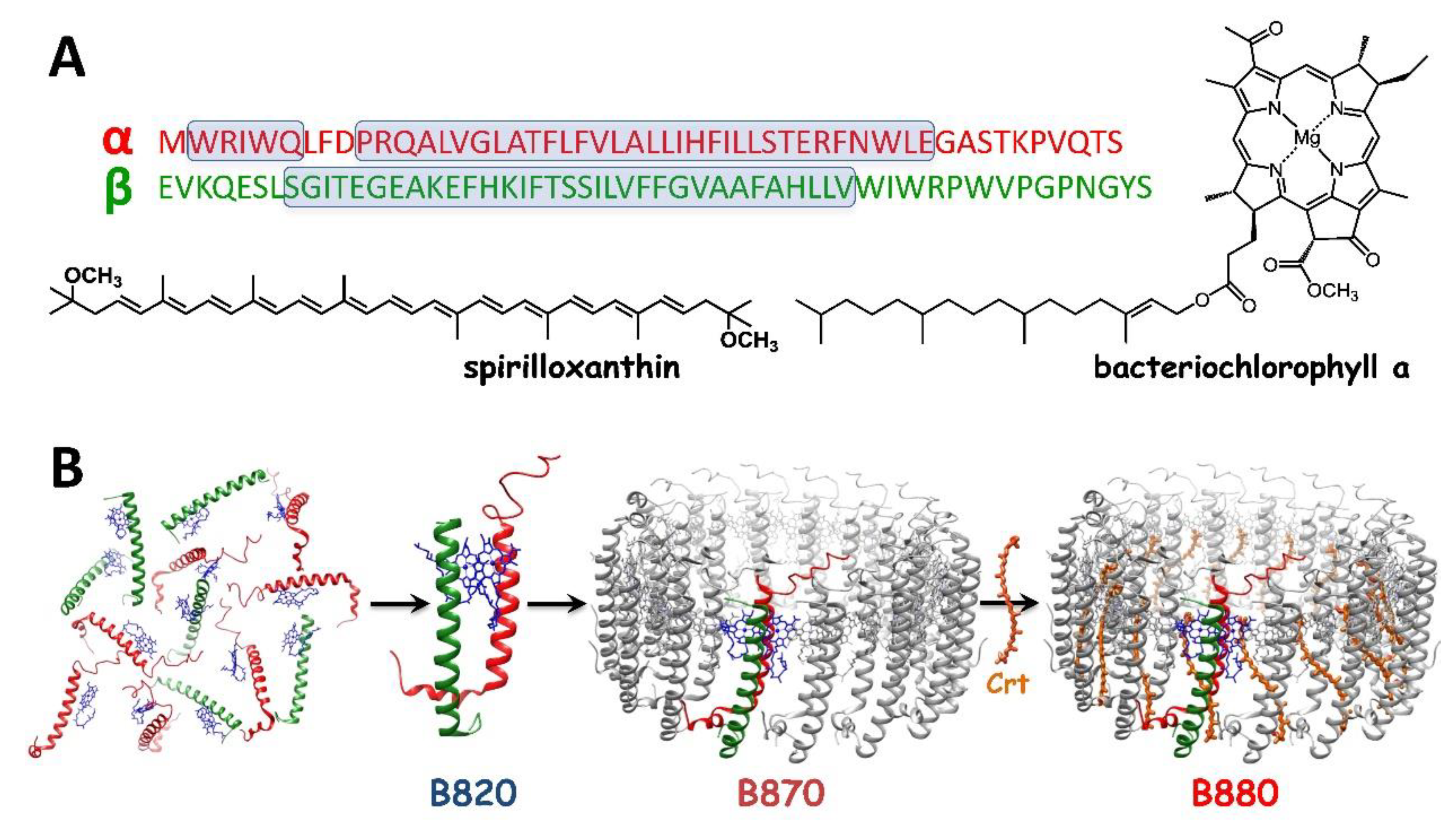 Materials 12 03554 g001