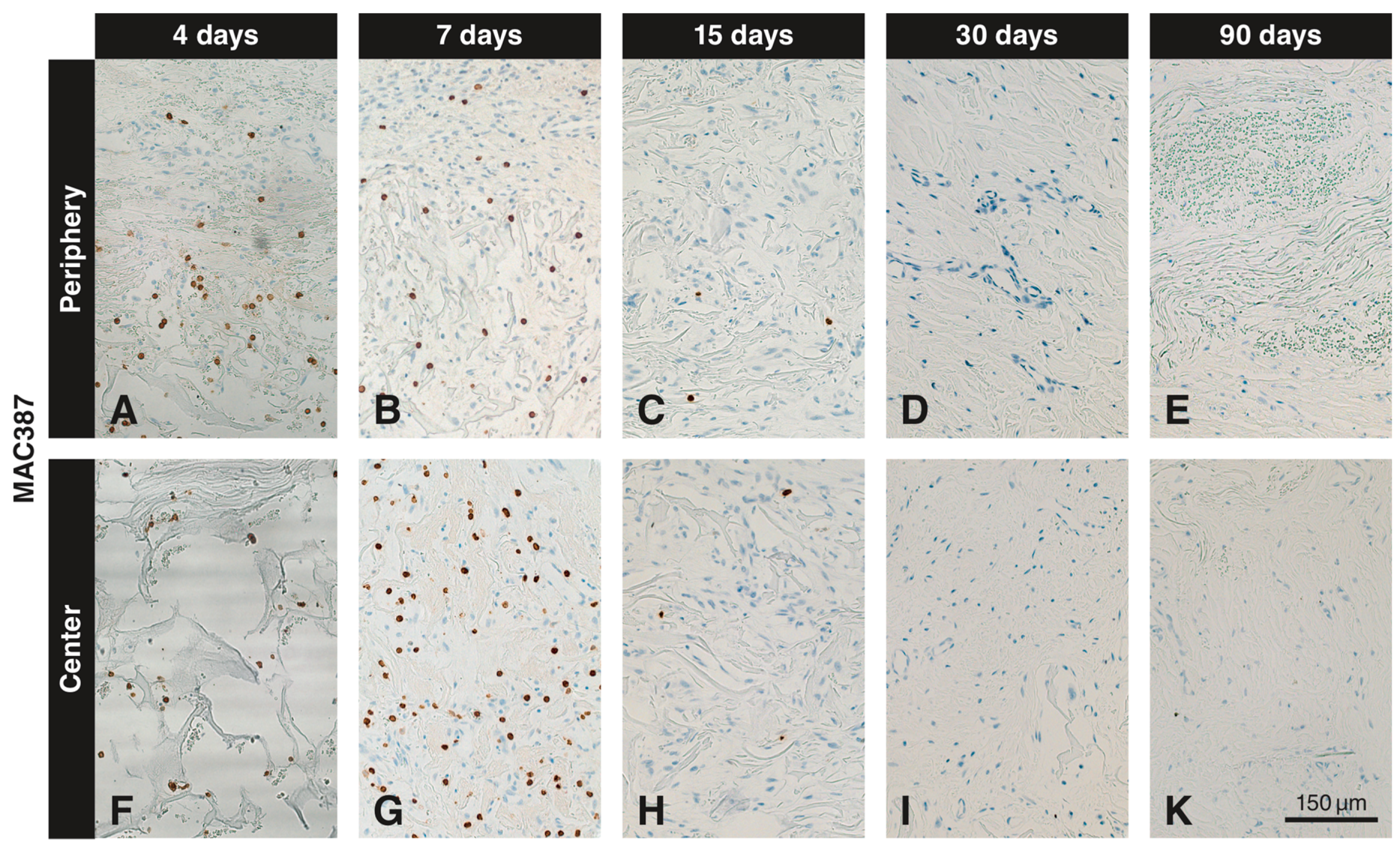 Materials 12 03721 g003