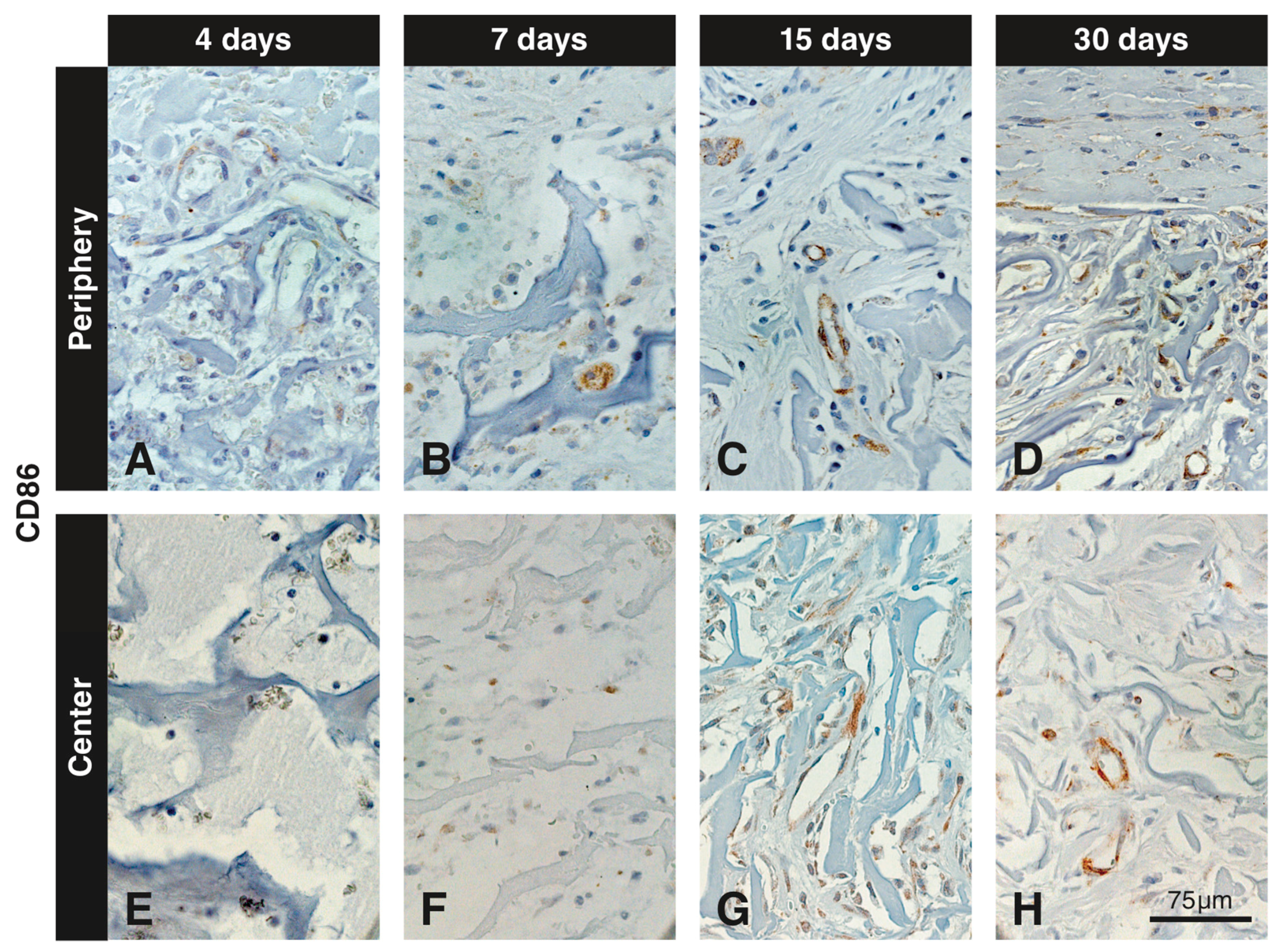 Materials 12 03721 g006