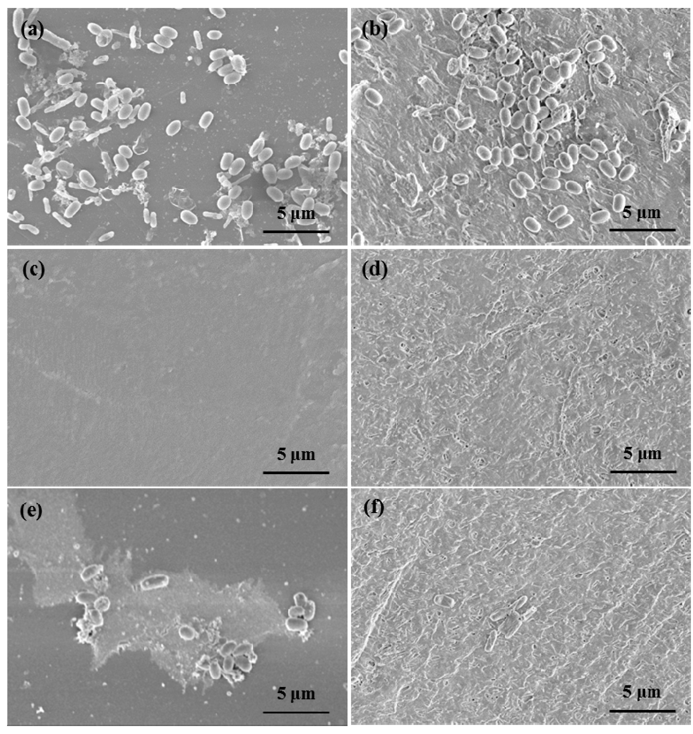 Materials 12 04195 g007