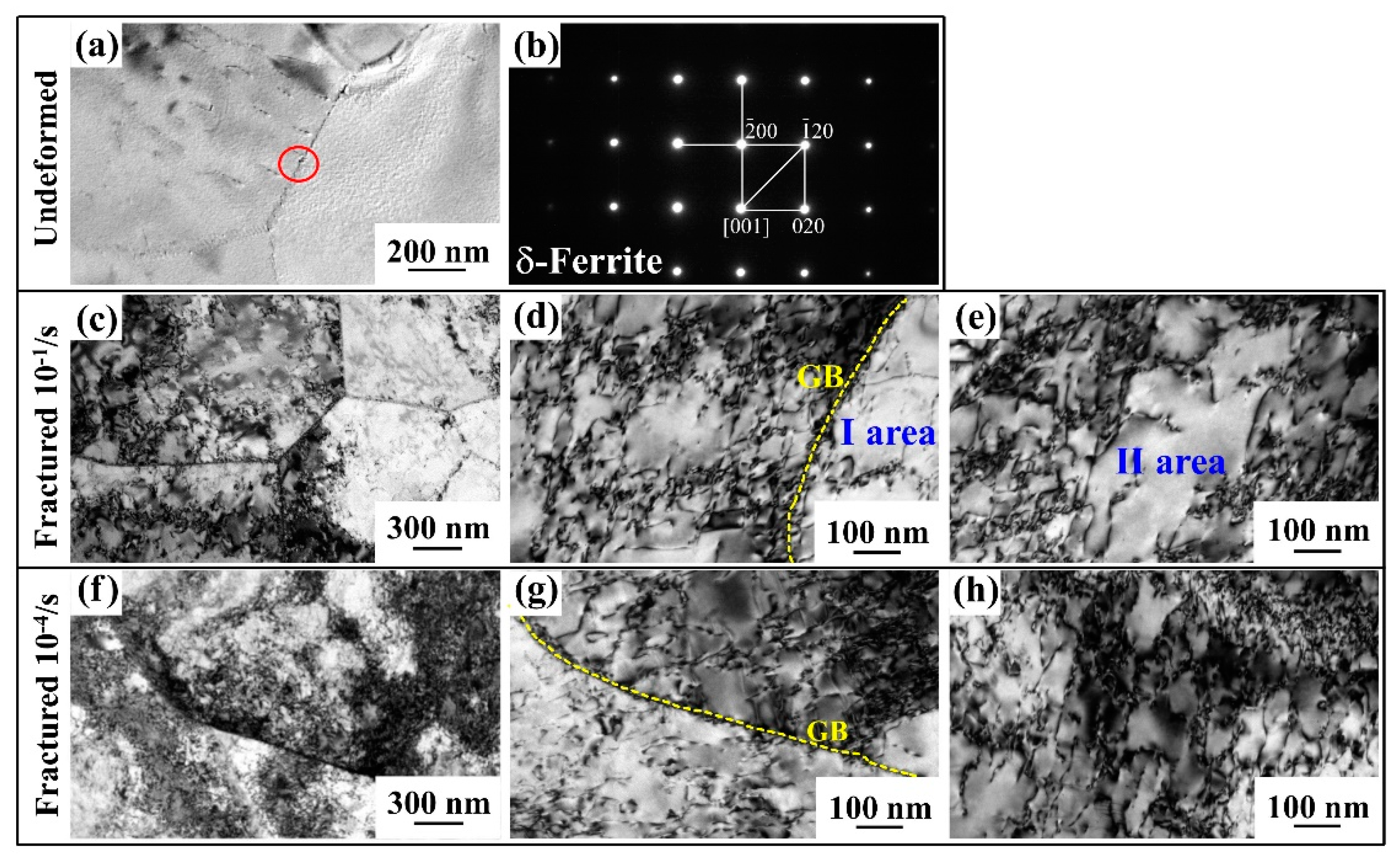 Materials 12 04228 g005