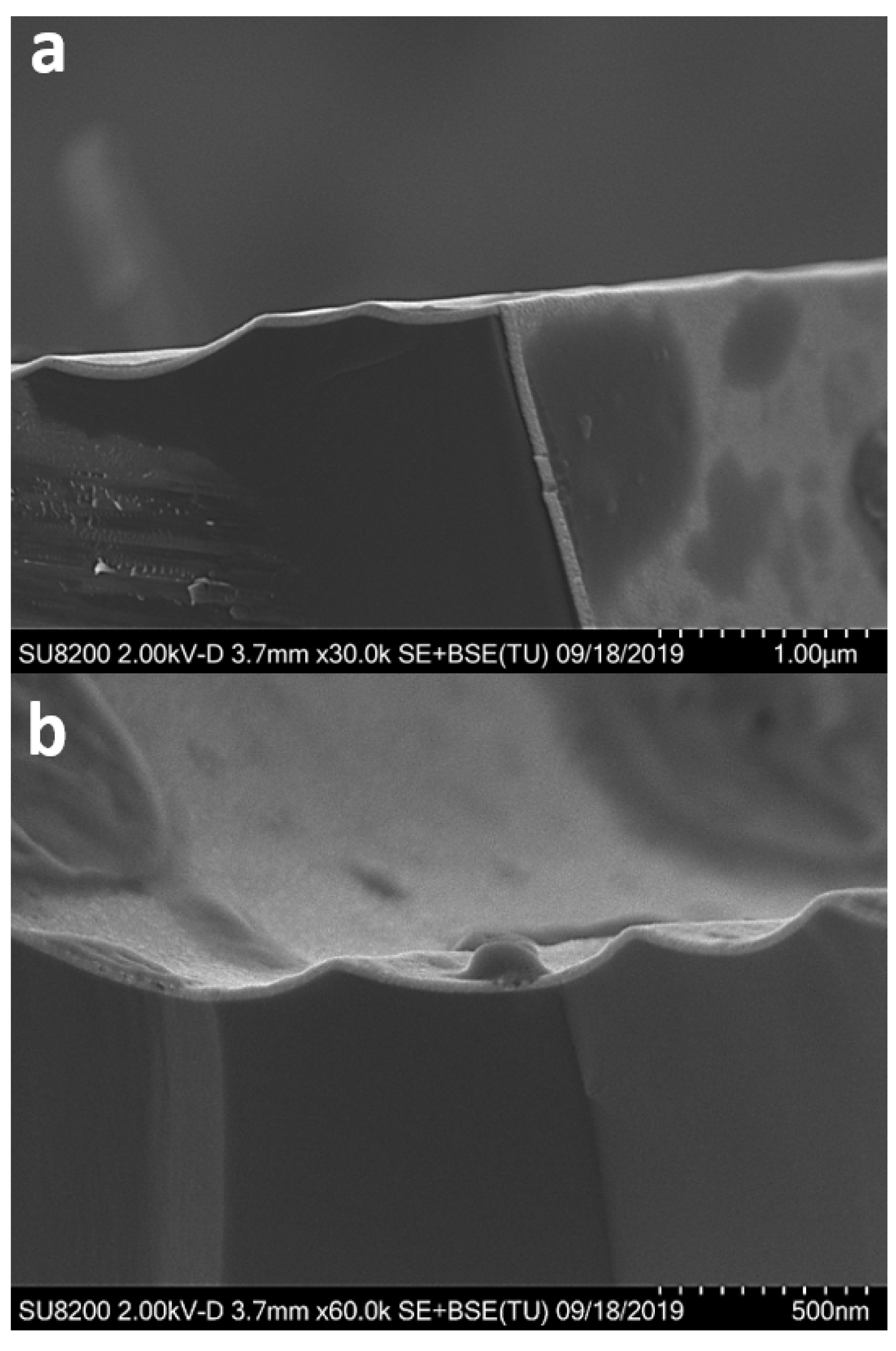 Materials 13 00024 g005