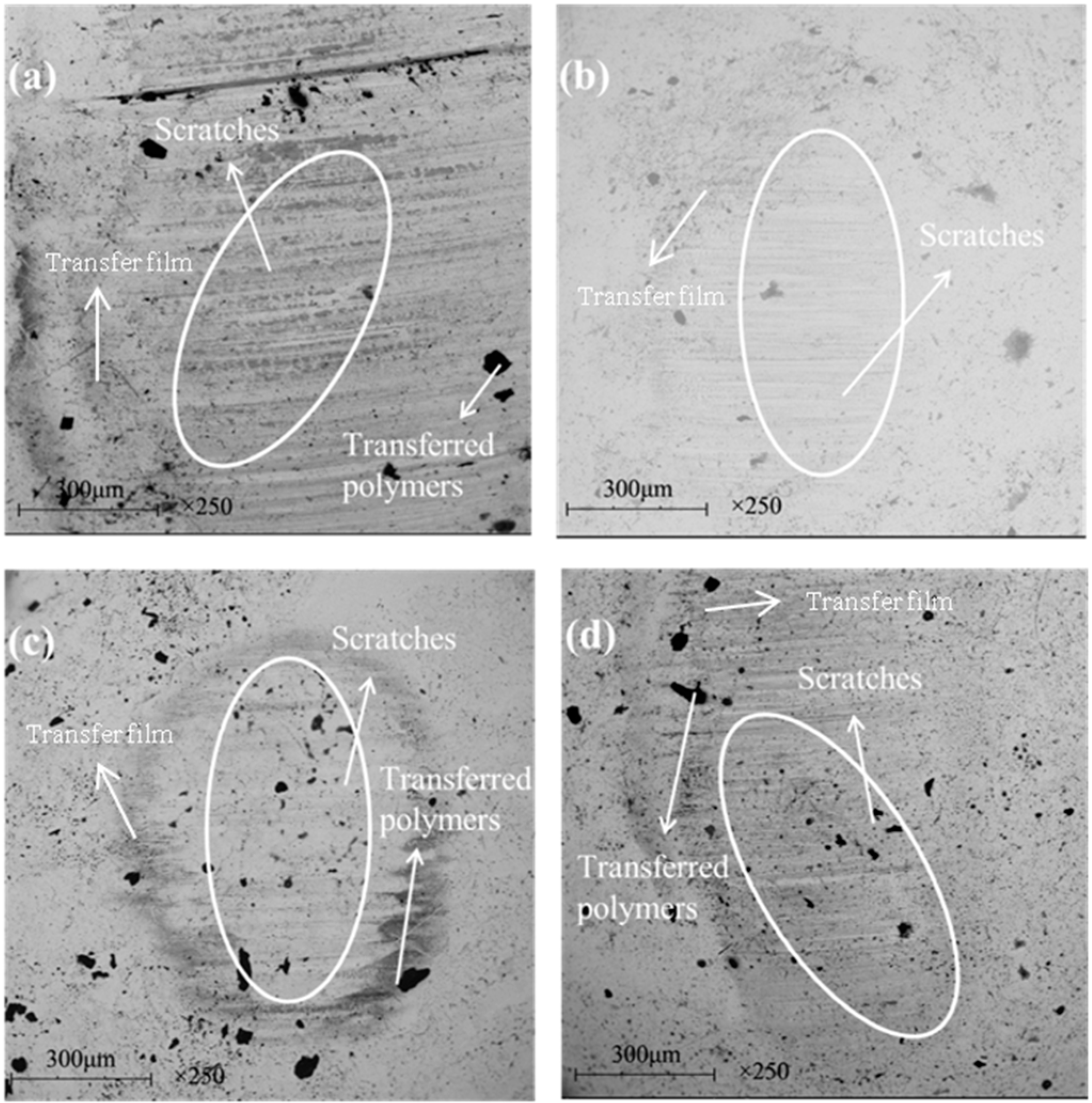 Materials 13 00232 g019