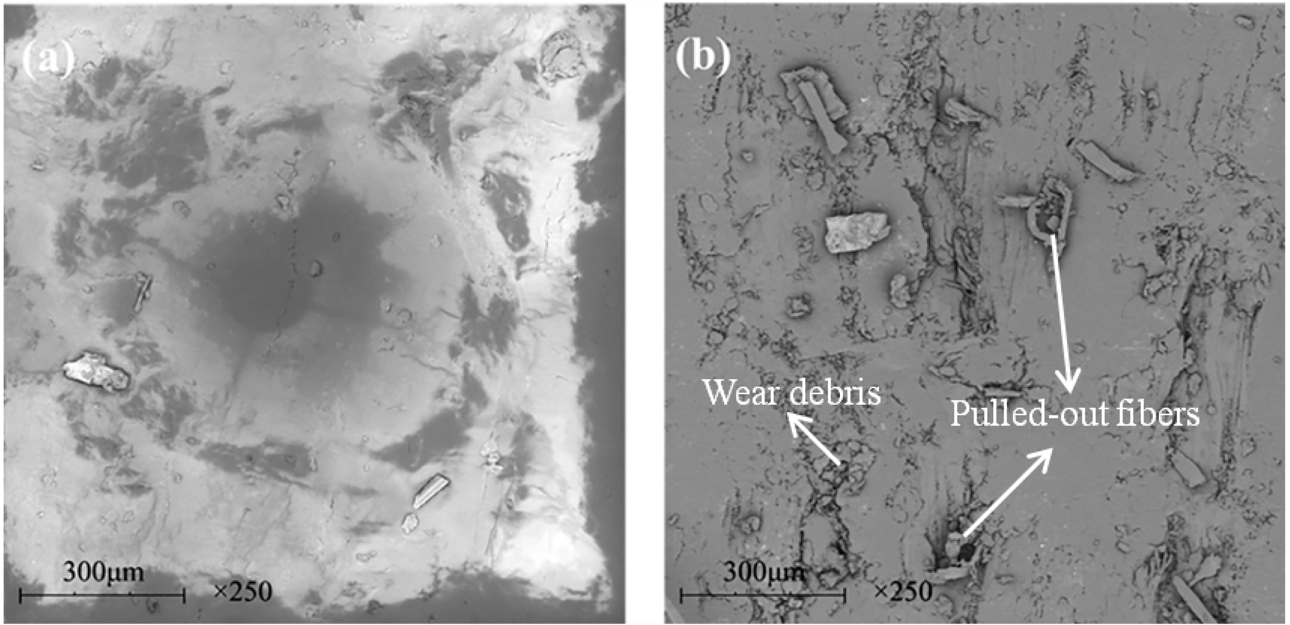 Materials 13 00232 g021