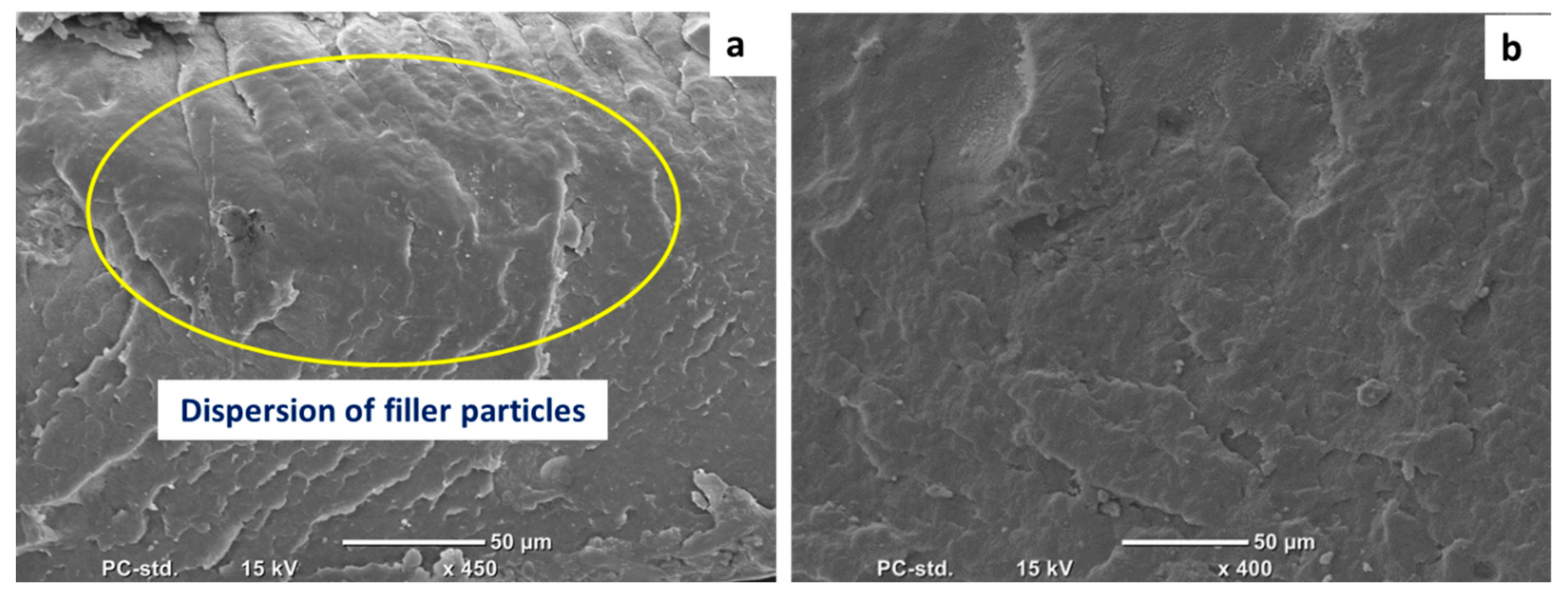Materials 13 00250 g003