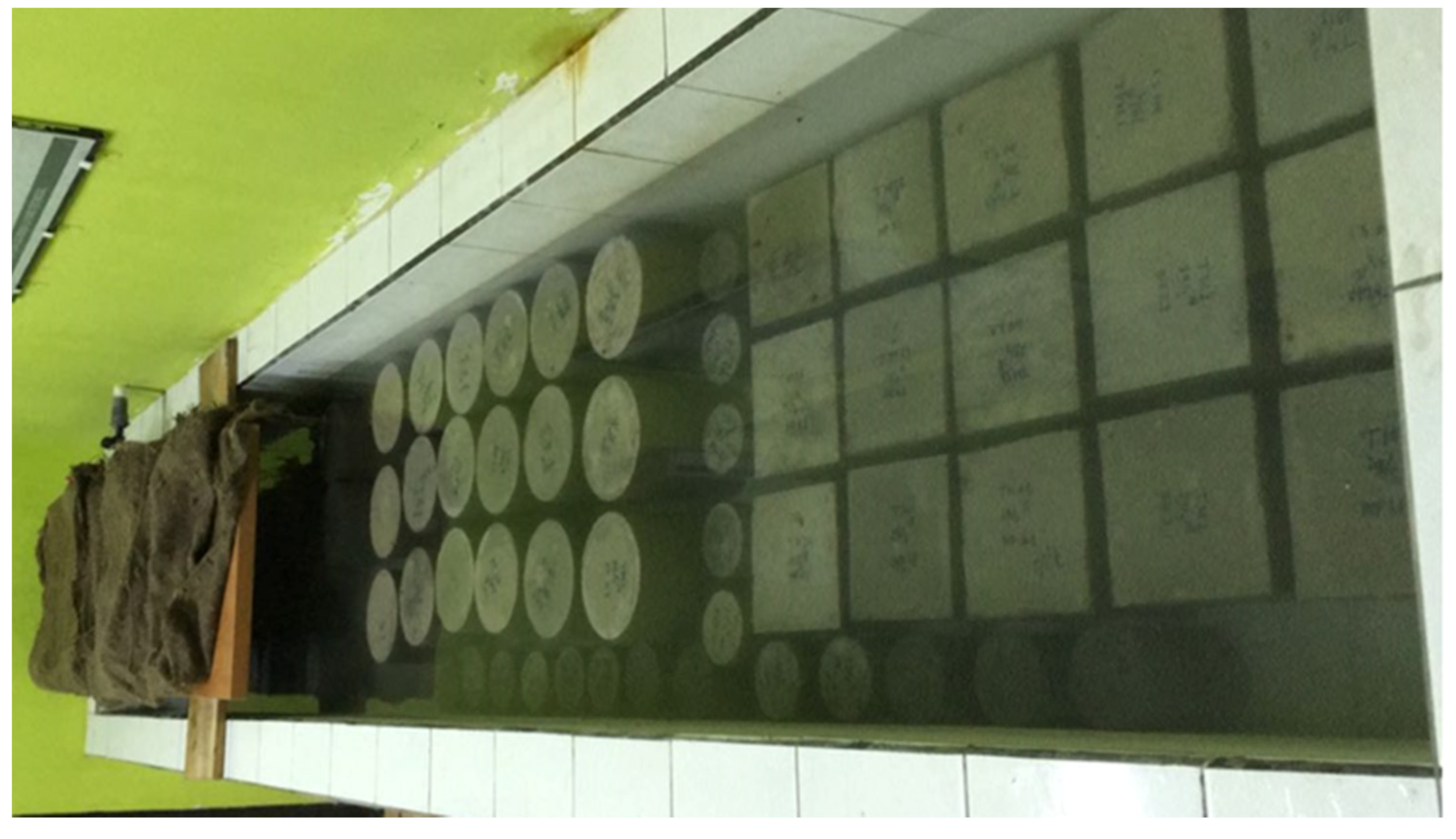 Materials 13 01394 g003