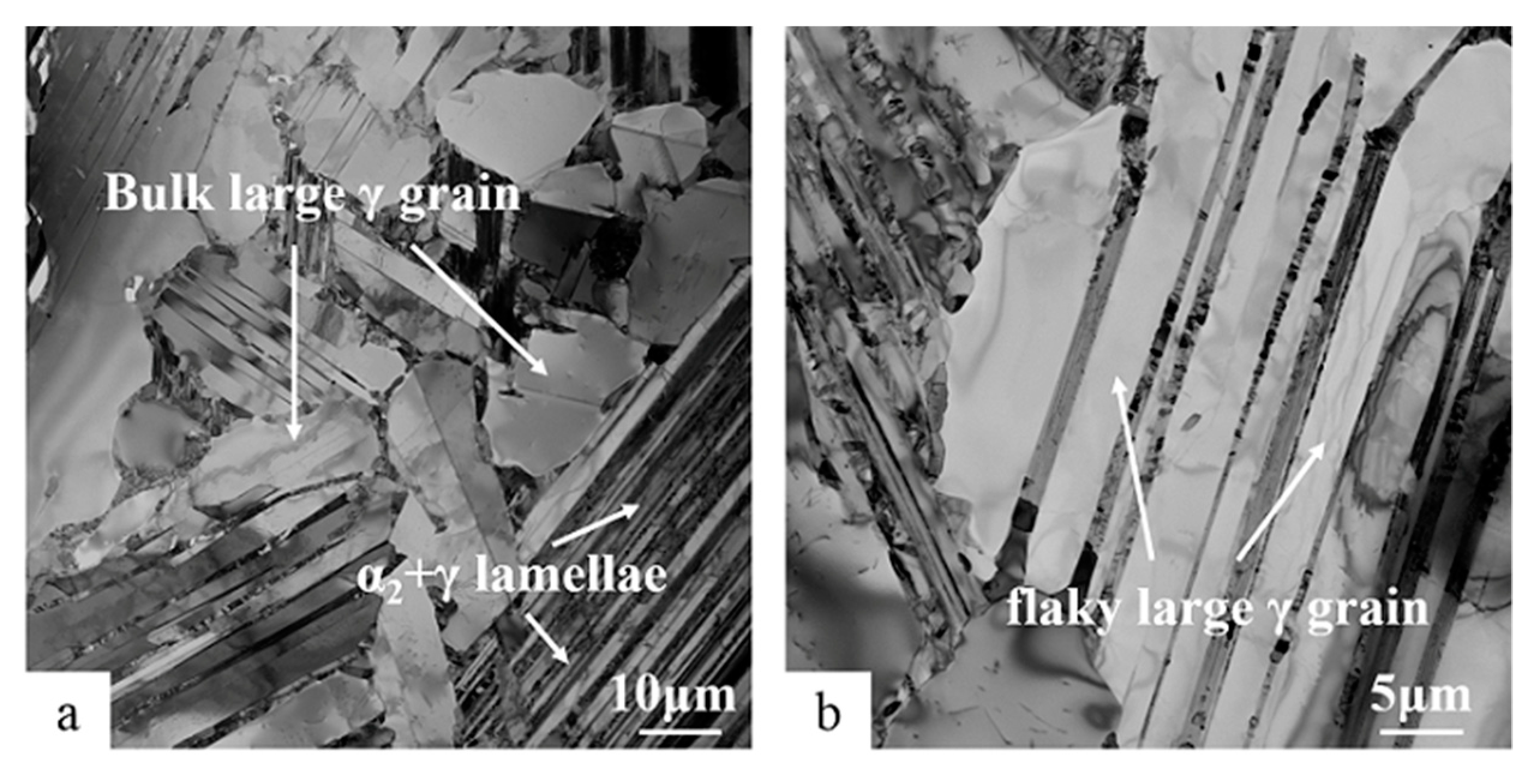 Materials 13 01638 g003
