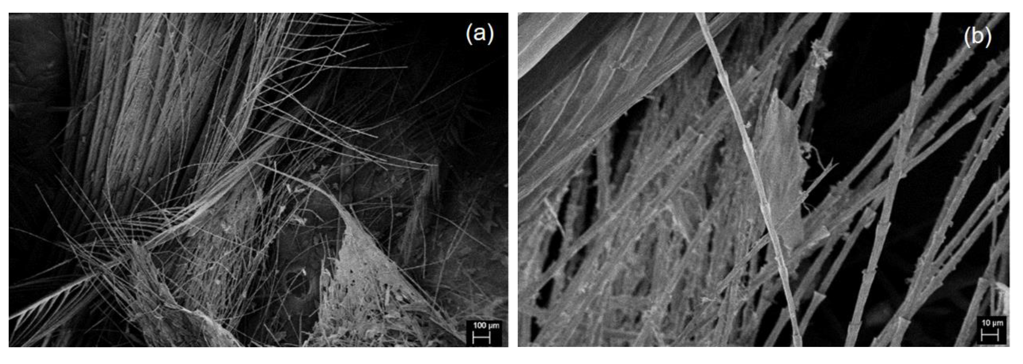 Materials 13 02109 g001