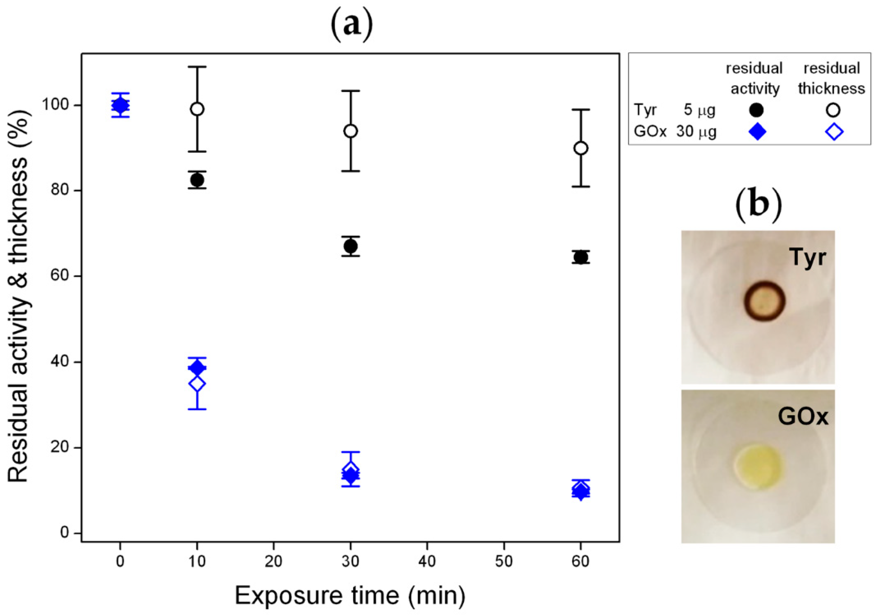 Materials 13 02181 g003