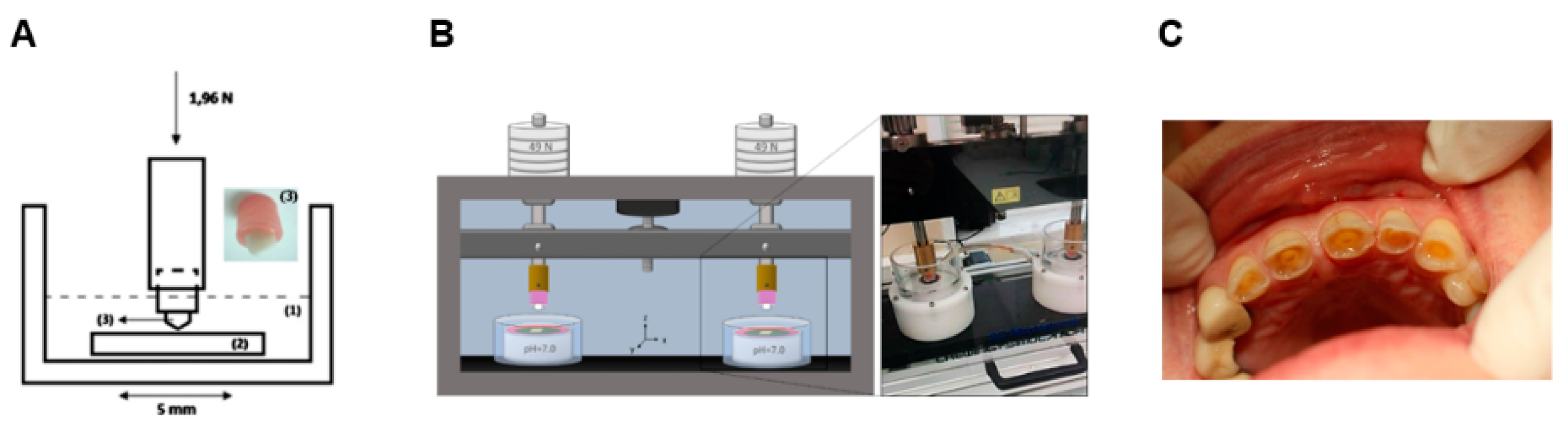 Materials 13 03525 g002