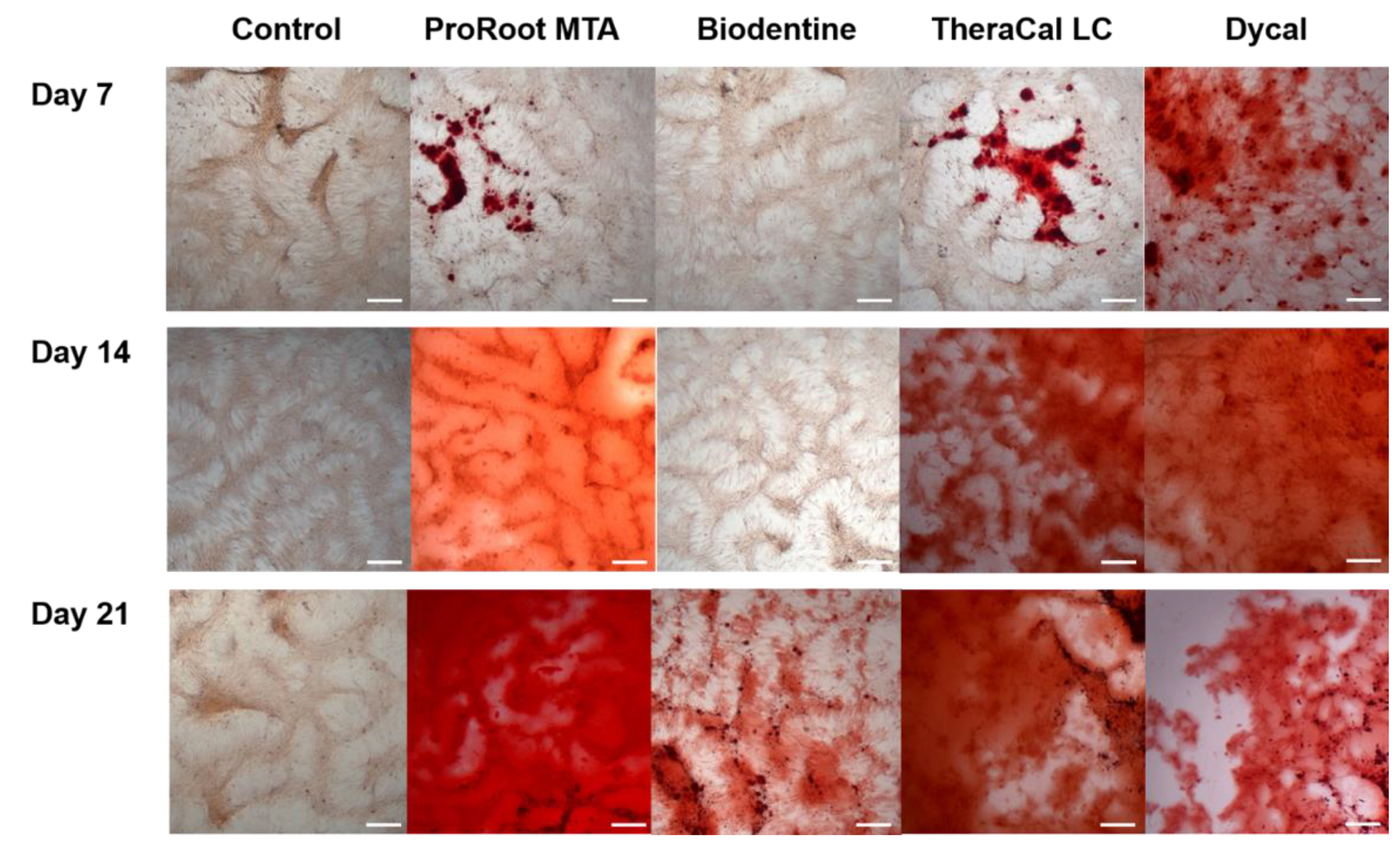 Materials 13 03925 g006