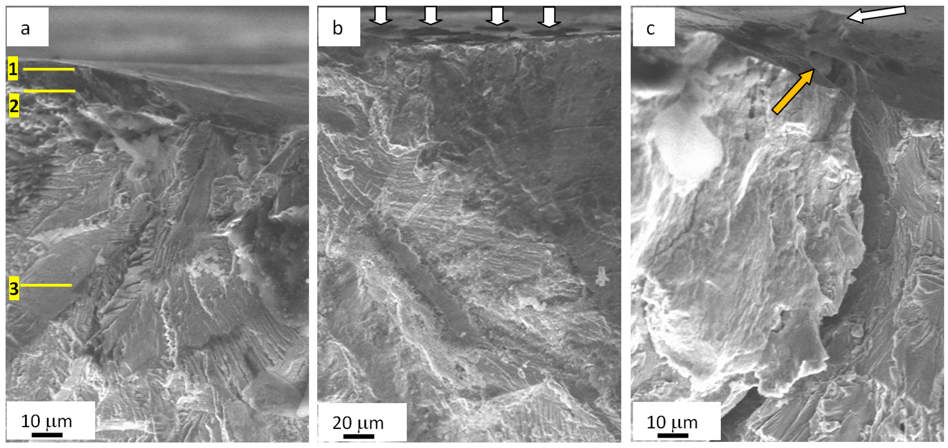 Materials 13 04567 g008