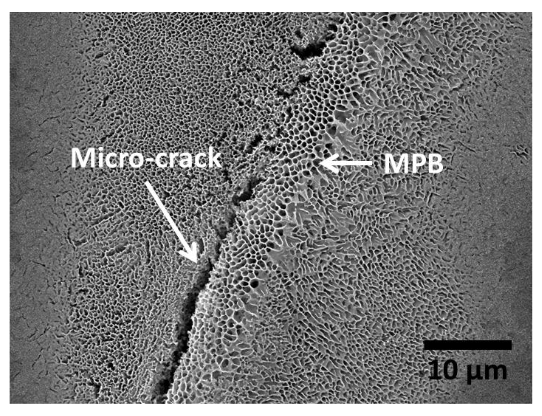 Materials 13 04804 g002