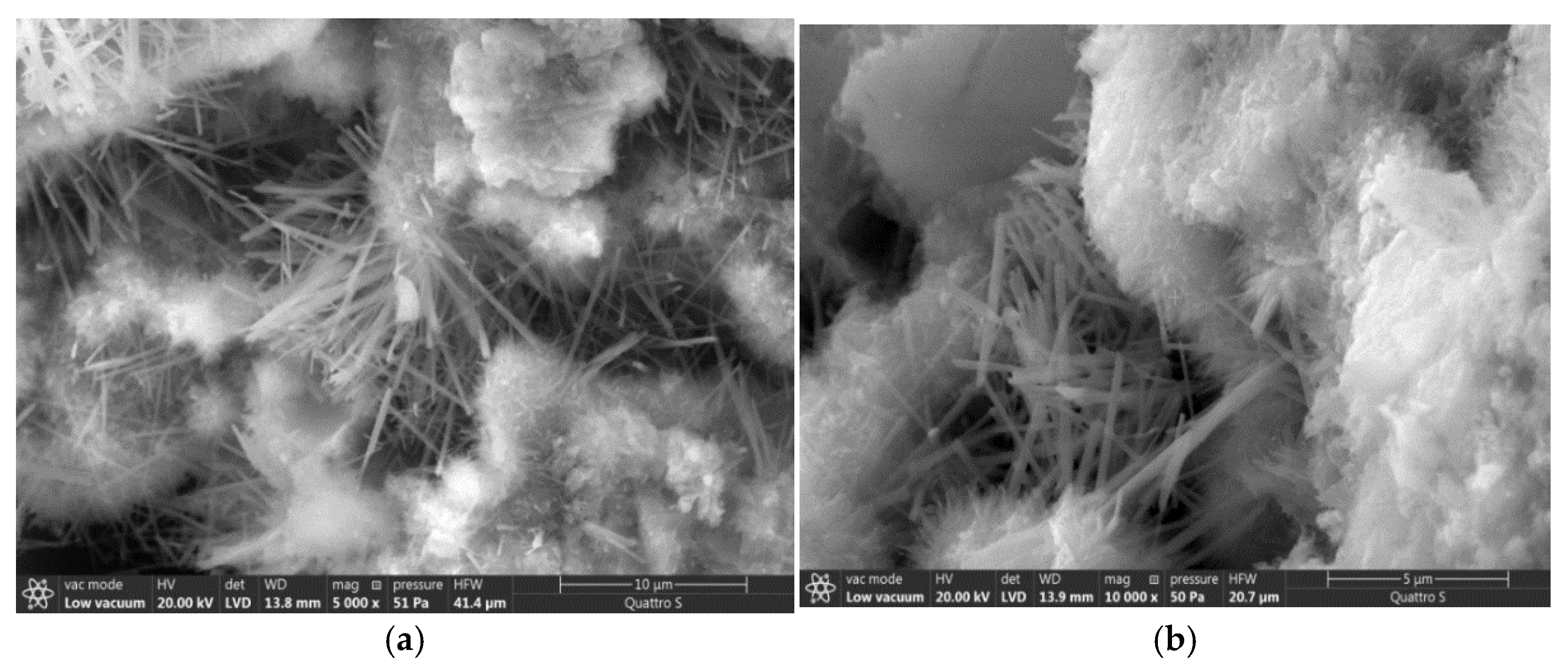 Materials 14 00557 g004