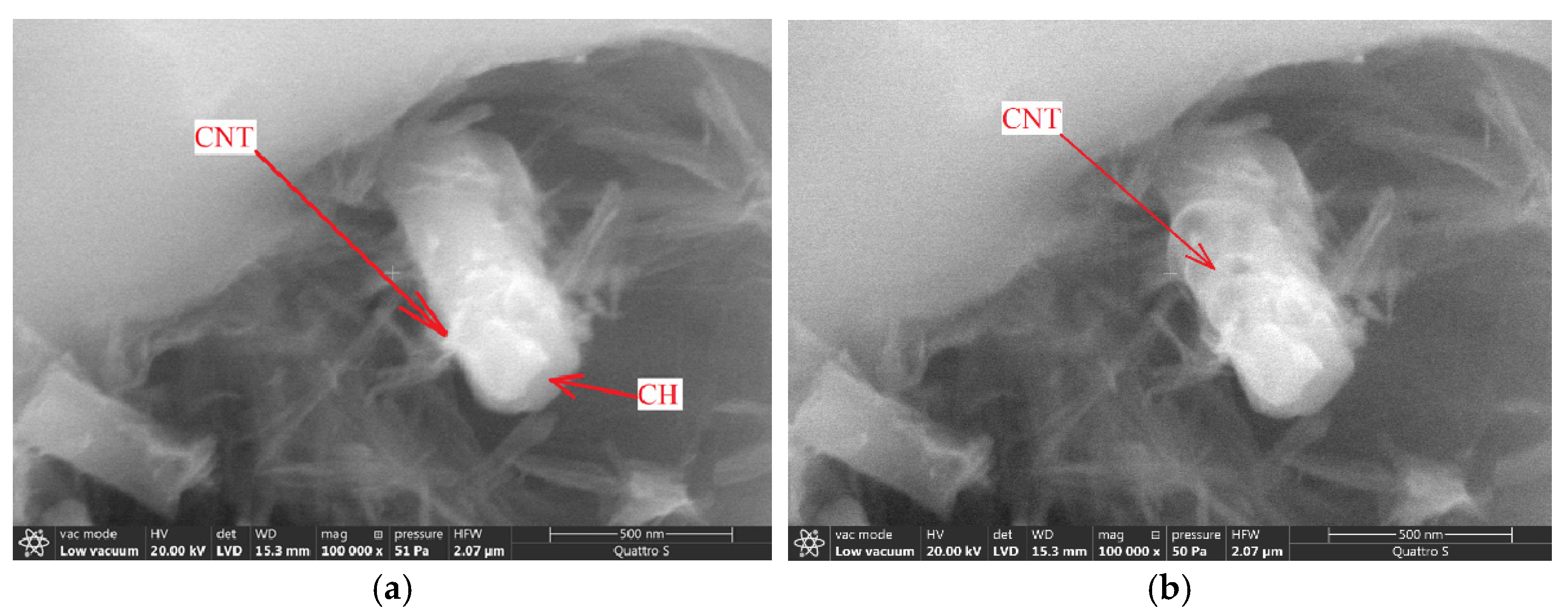 Materials 14 00557 g010