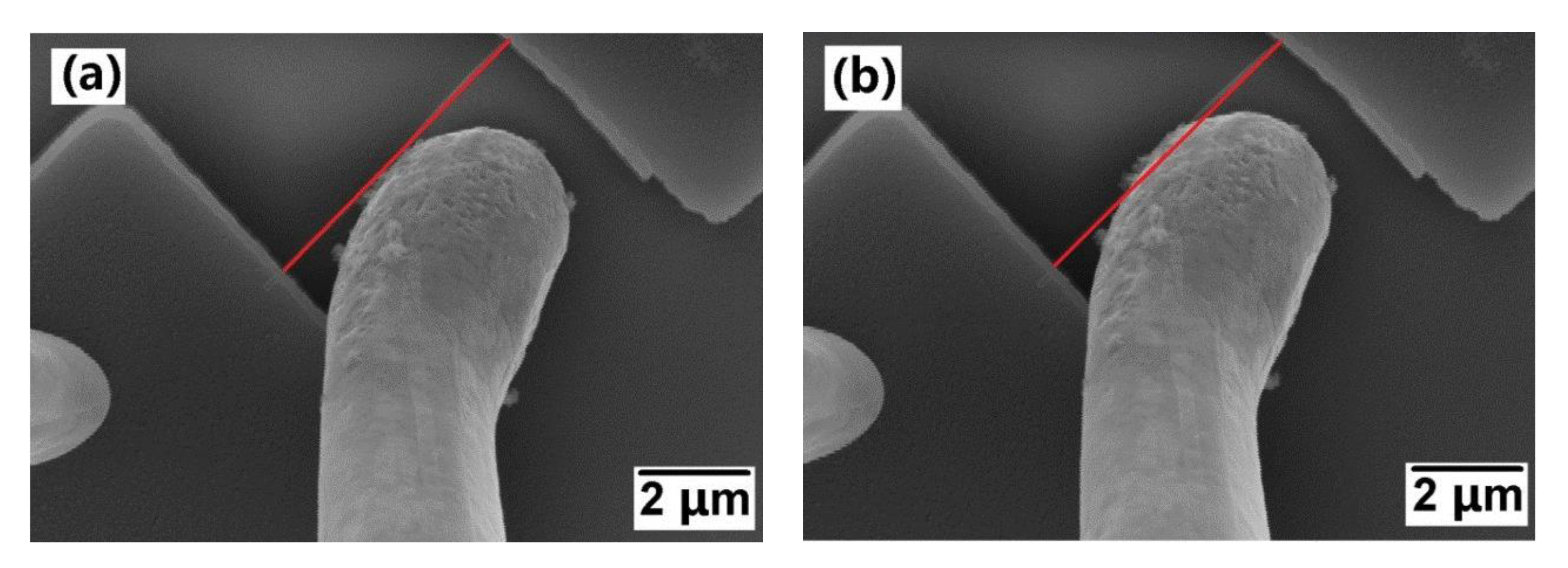 Materials 14 00661 g025