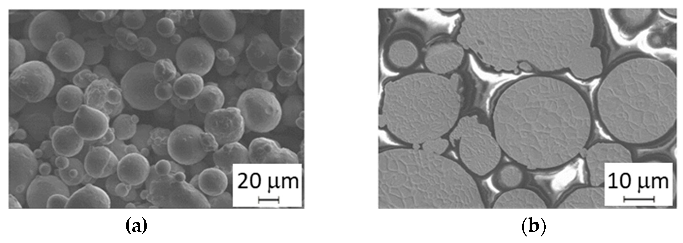 Materials 14 02105 g004