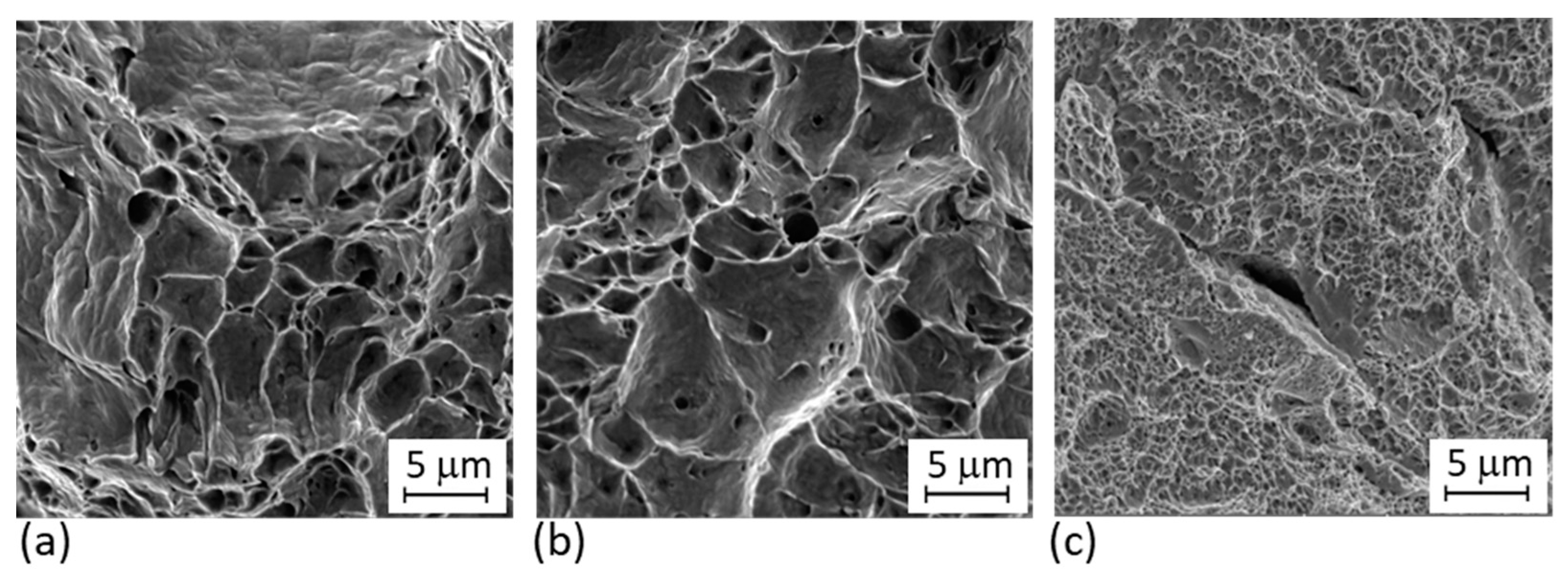 Materials 14 02105 g017